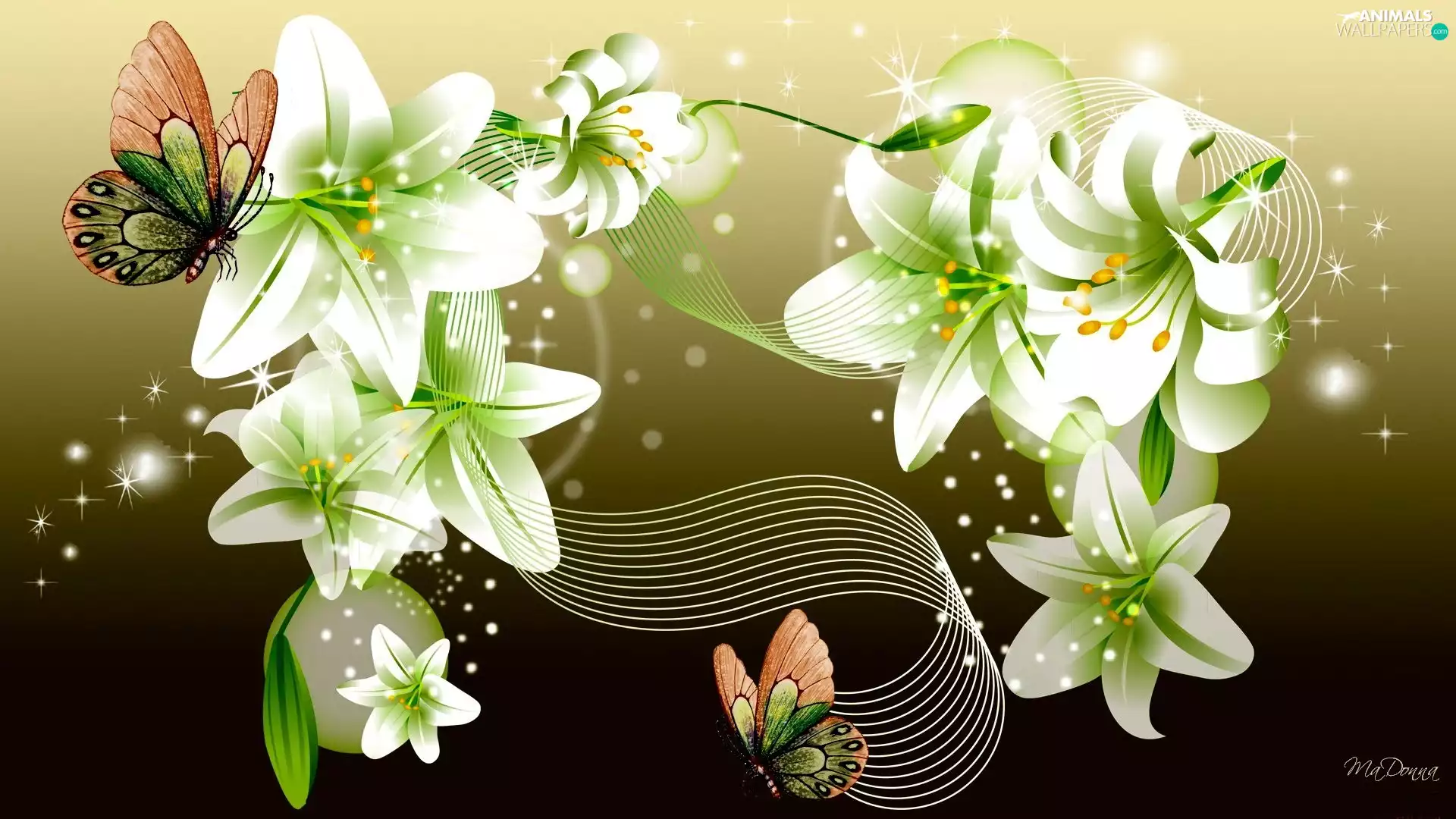White, butterflies, Art, lilies
