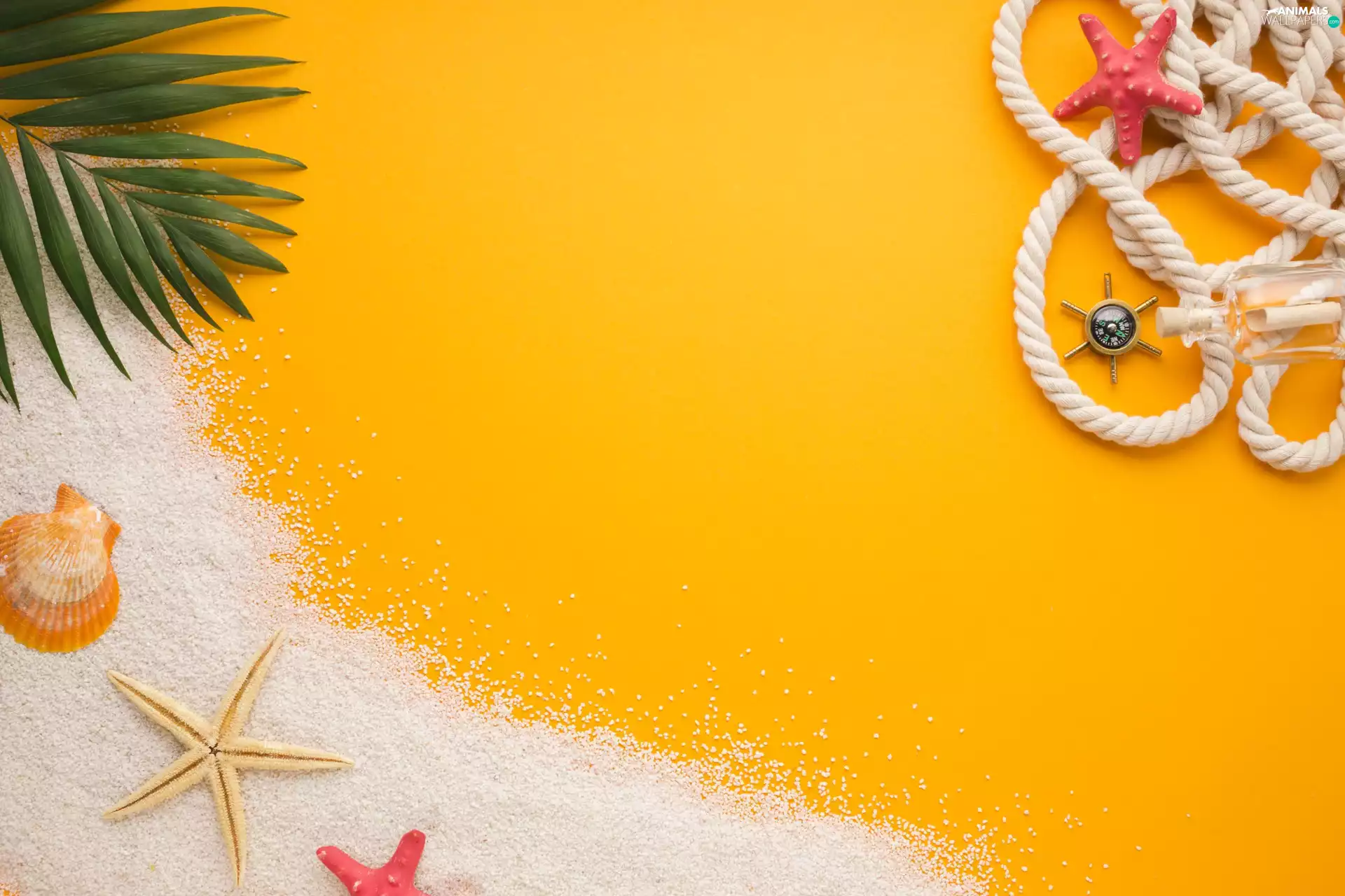 leaf, Palms, rudder, sea, Bottle, shell, starfish, line