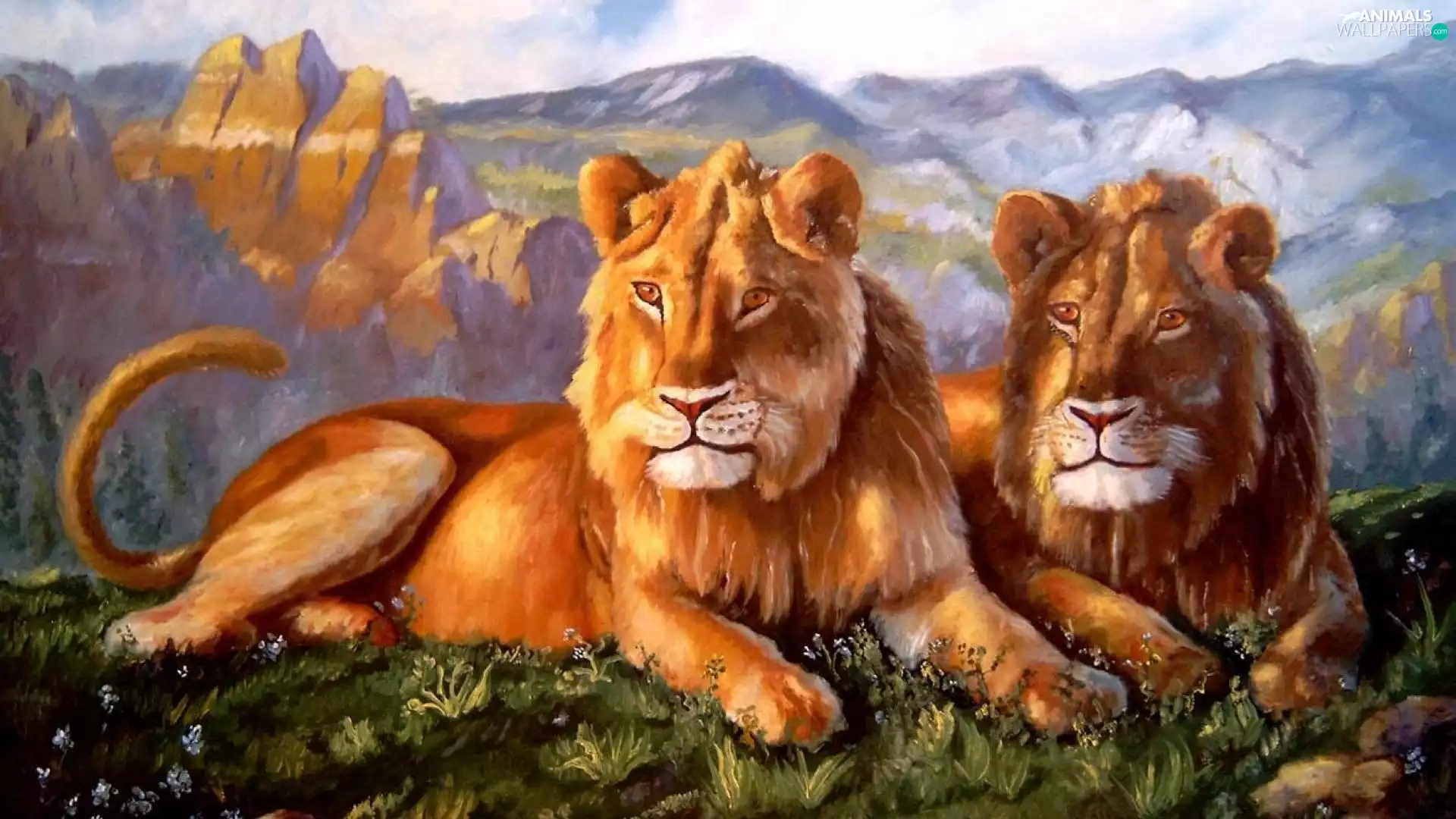 lions, Mountains