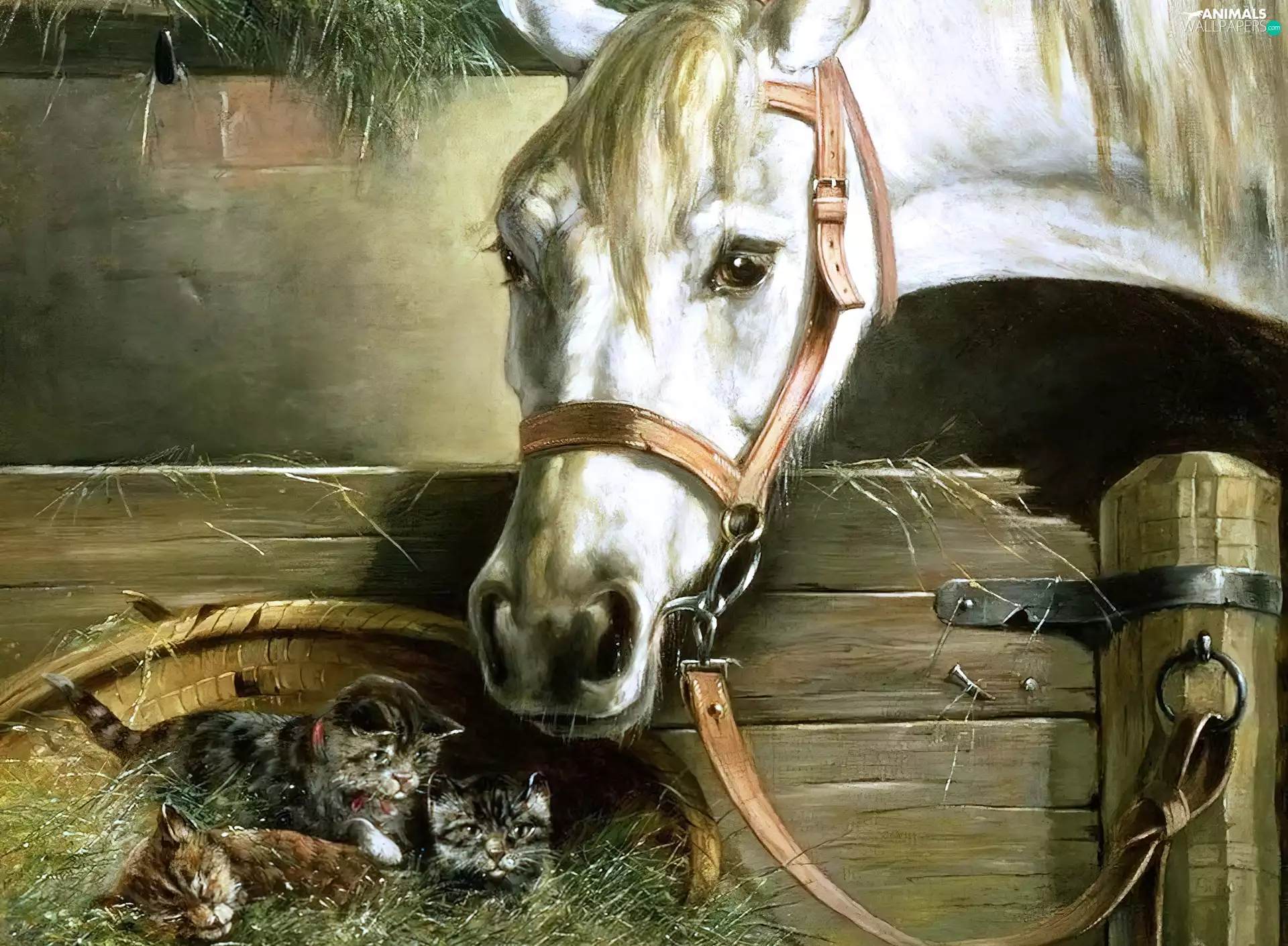 puss, picture, Three, little doggies, Horse