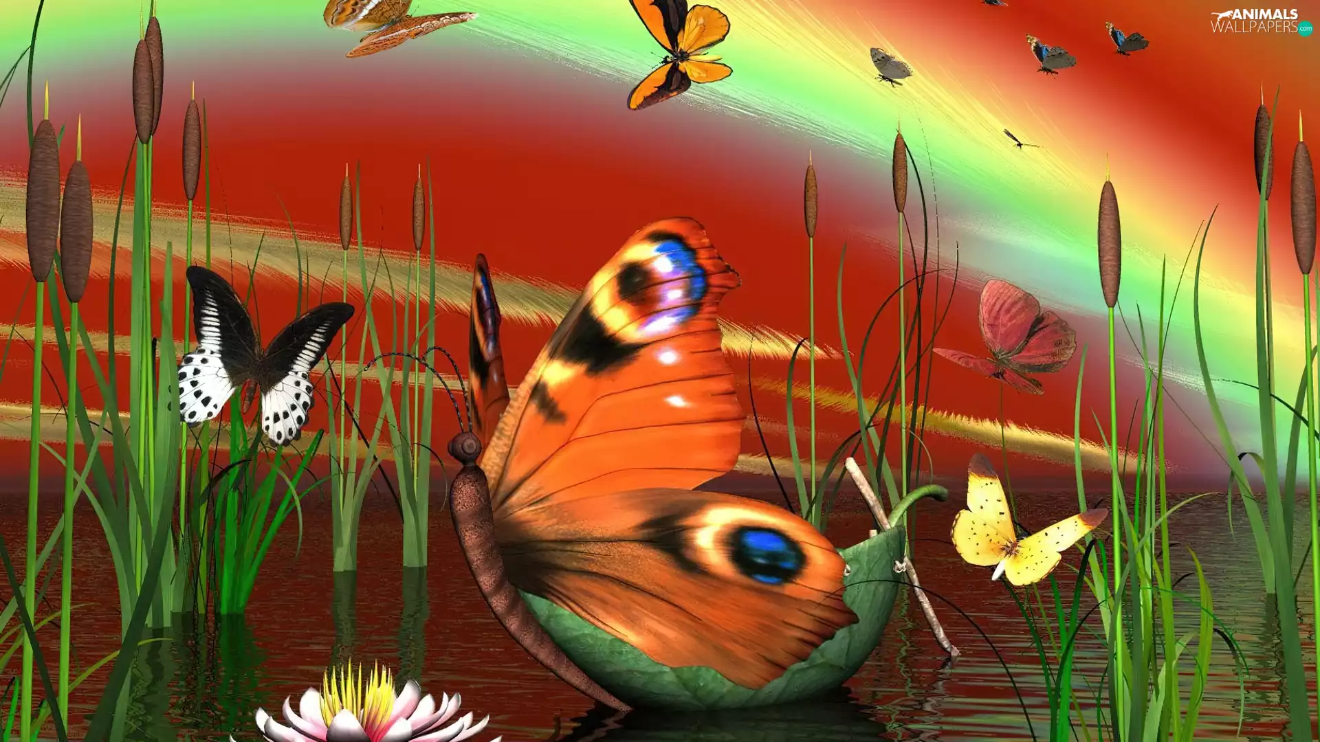 butterflies, water, Art, Mallets