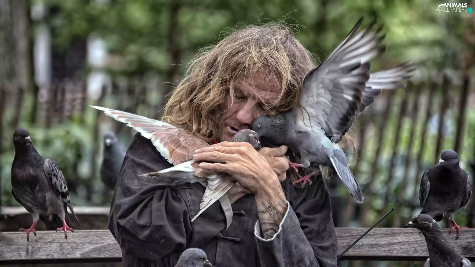 a man, birds, Deep, homeless