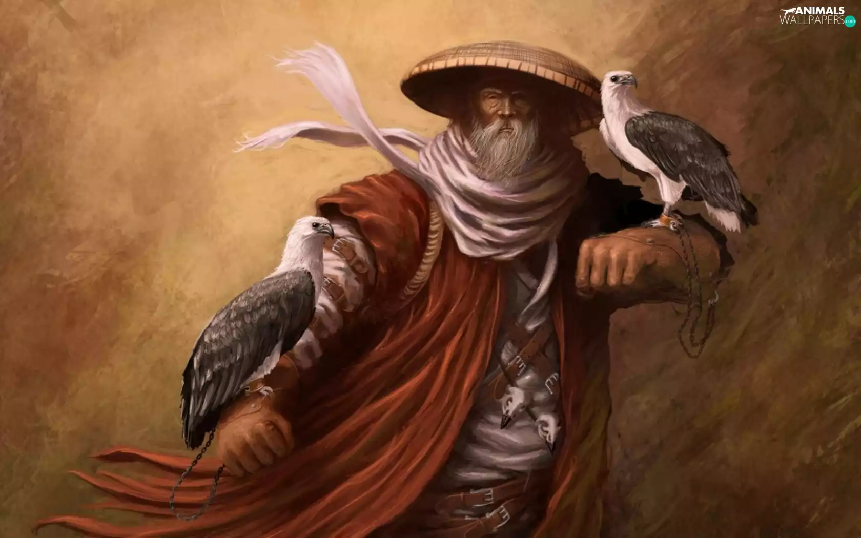 Eagles, picture, a man