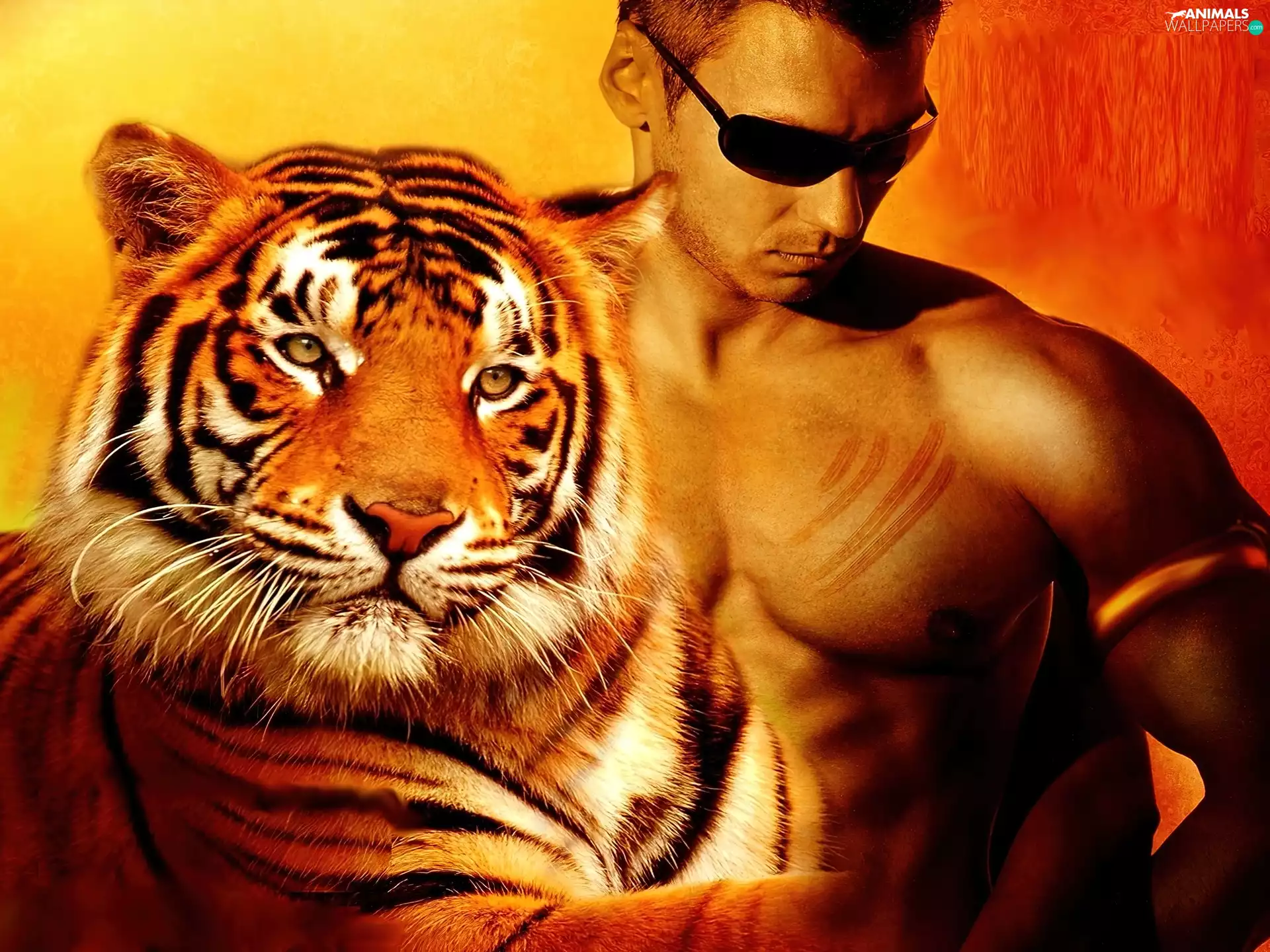 Glasses, tiger, a man