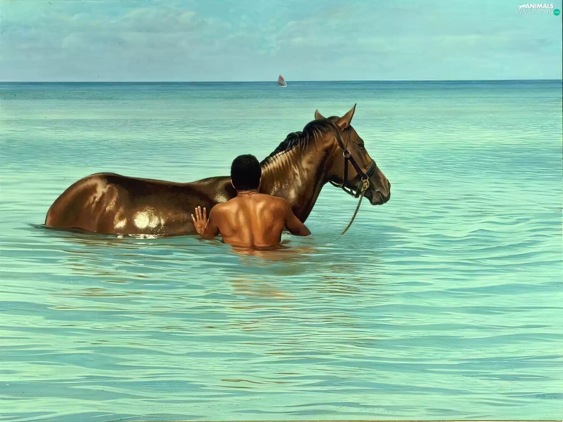 sea, Horse, a man