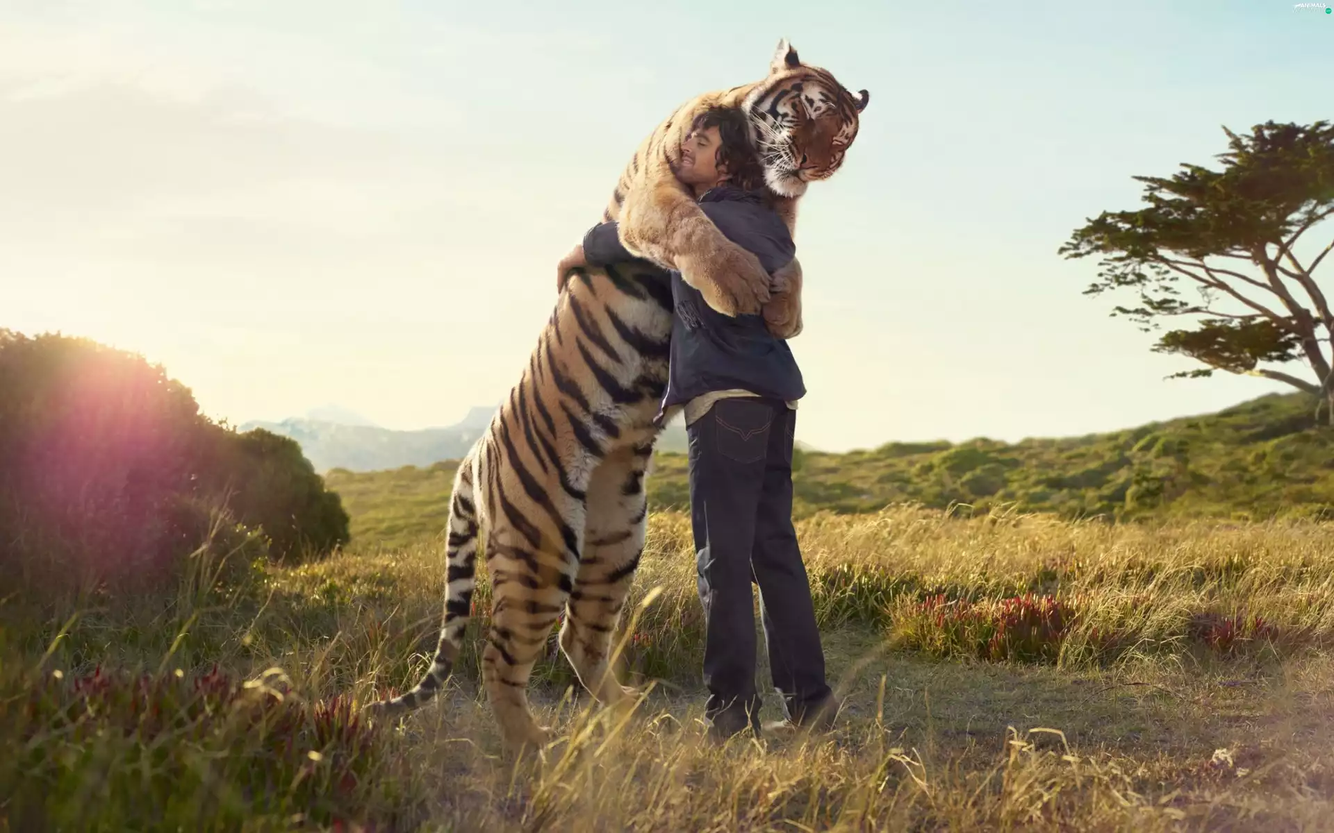 welcome, tiger, a man