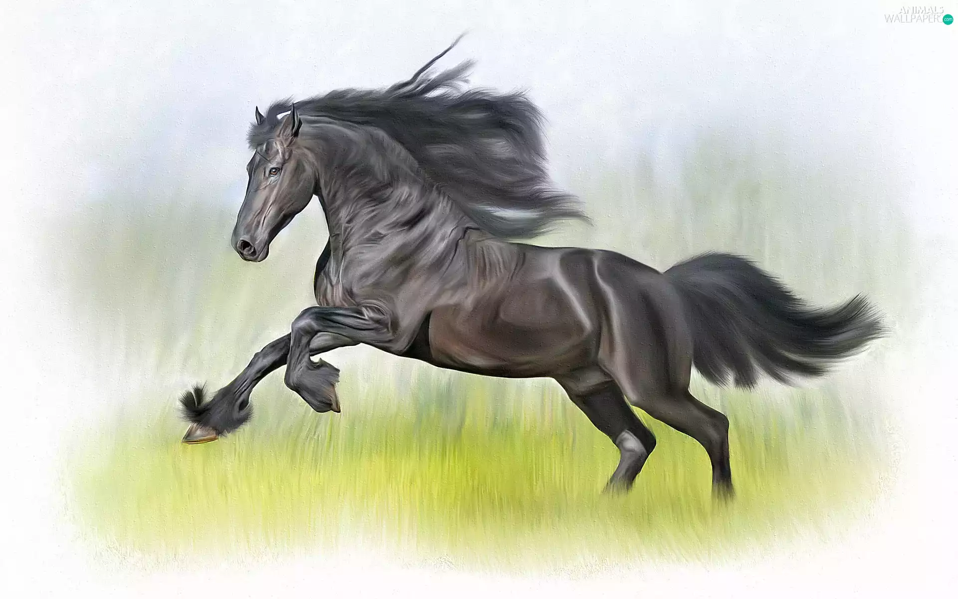 dispelled, mane, Black, Horse, graphics
