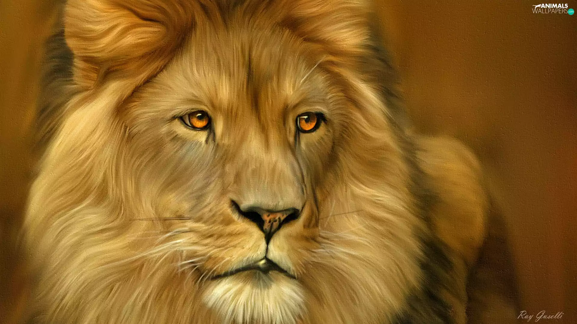 Lion, rapprochement, graphics, mane
