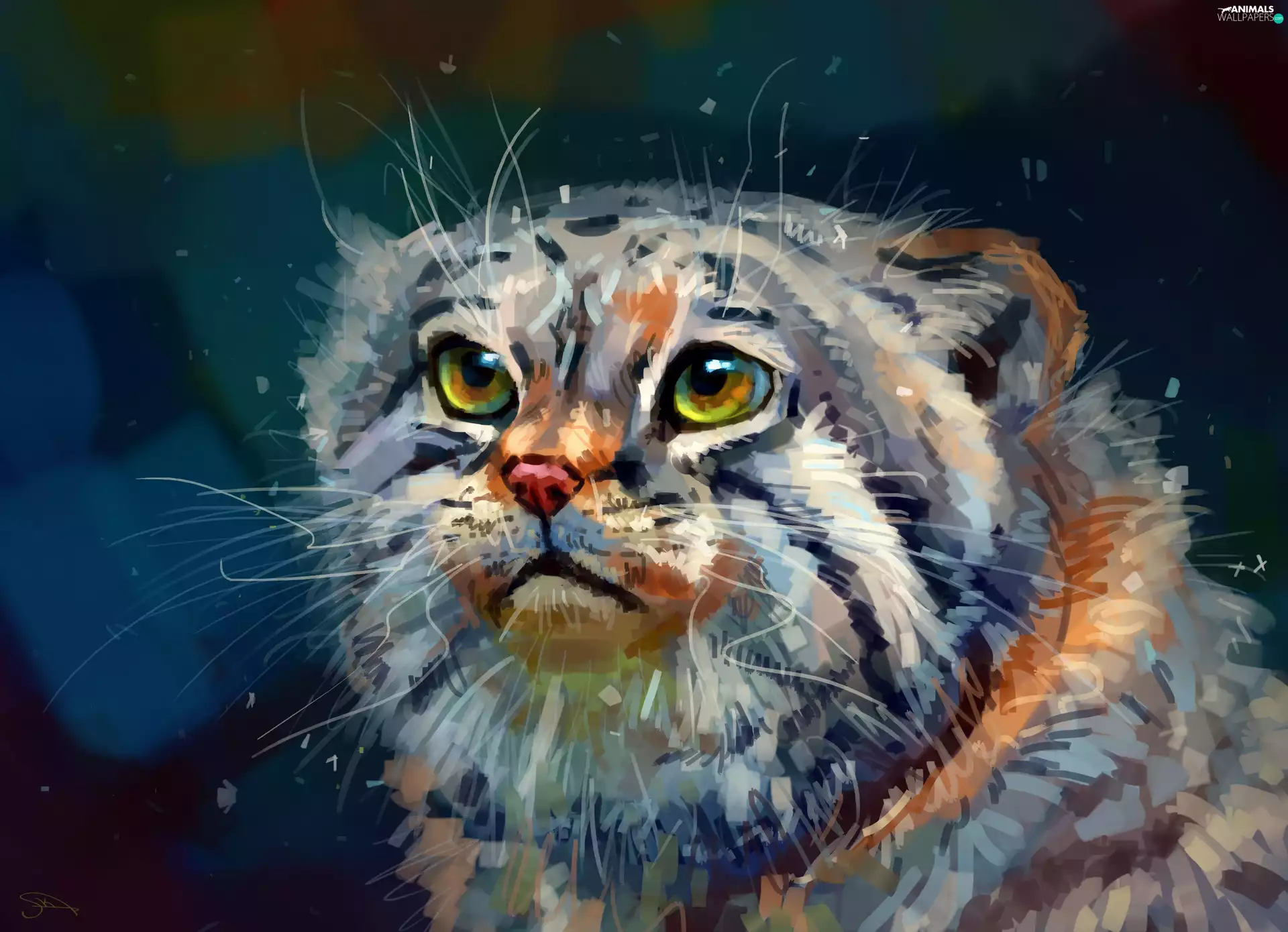 Manul, graphics