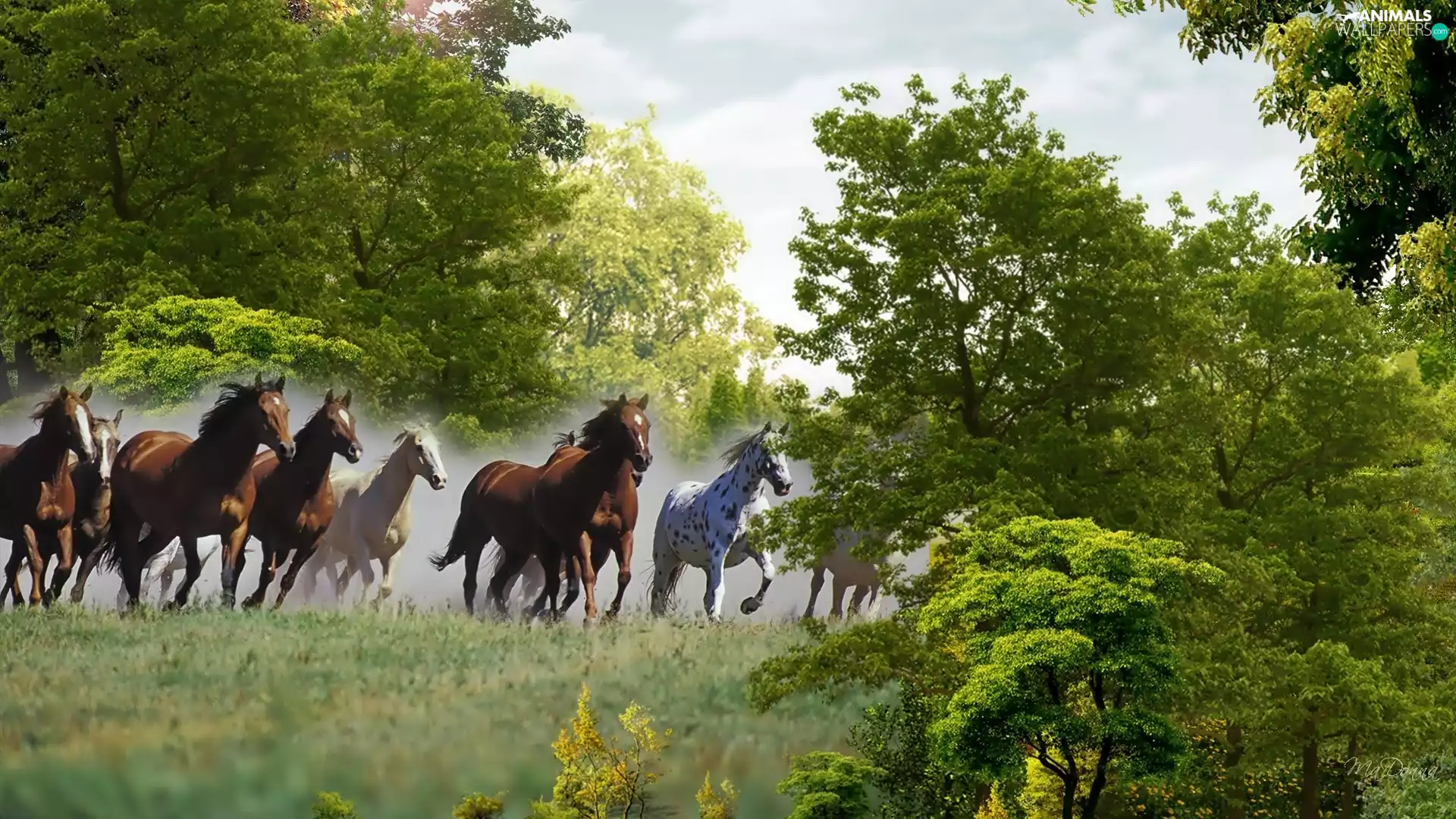 bloodstock, trees, viewes, Meadow