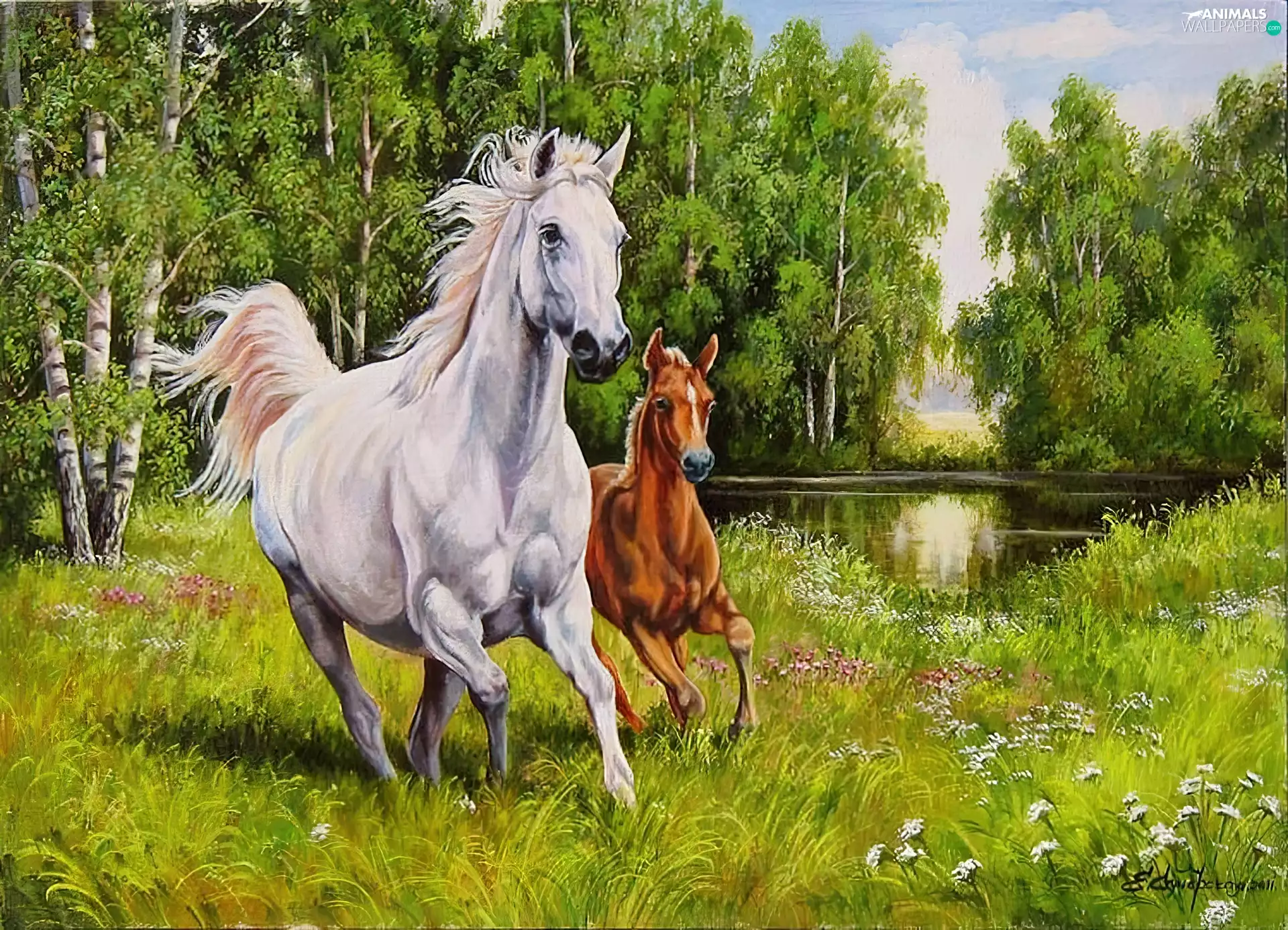 birch, forest, bloodstock, Meadow, Two cars