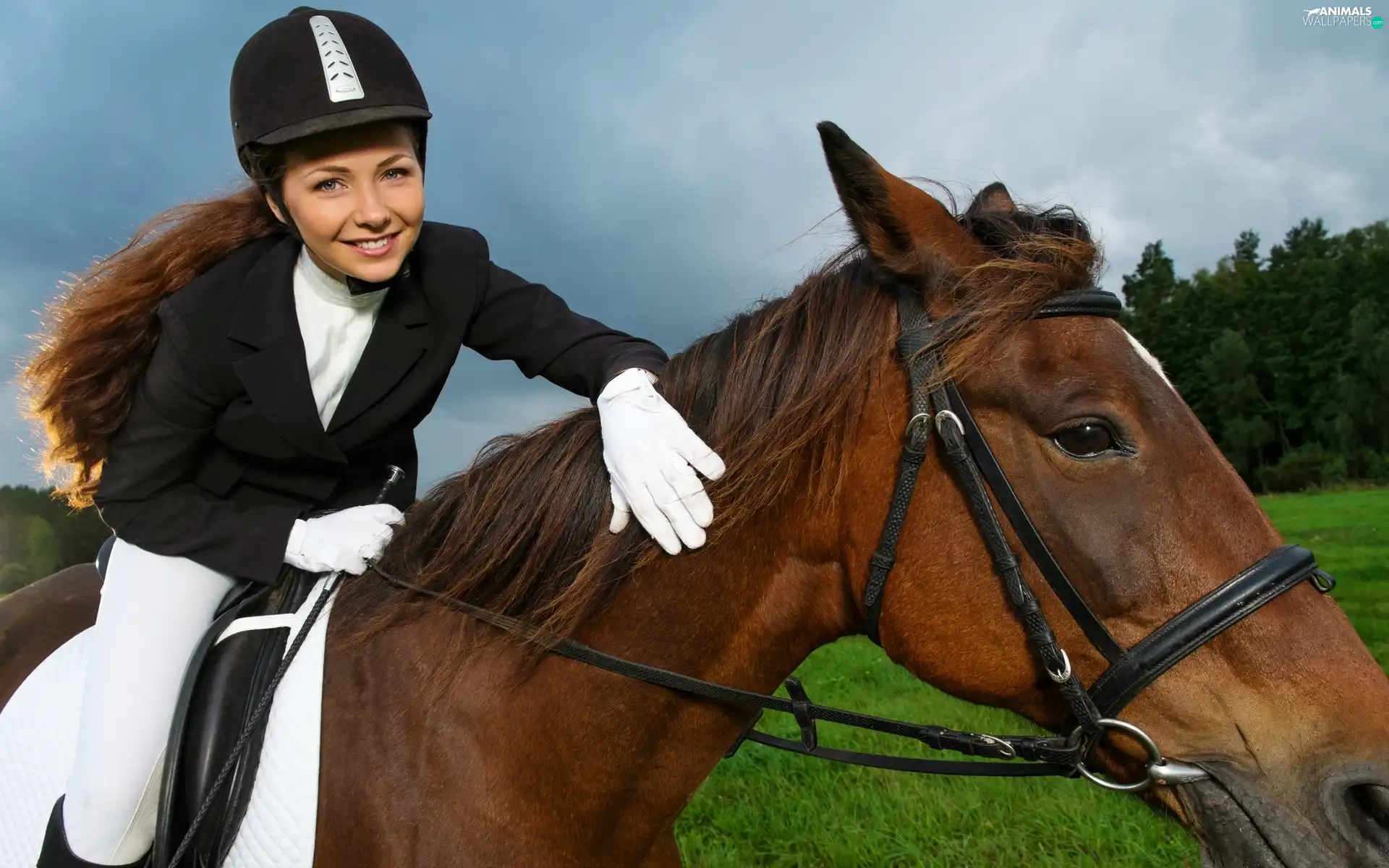 Meadow, forest, Jockey, Horse, girl