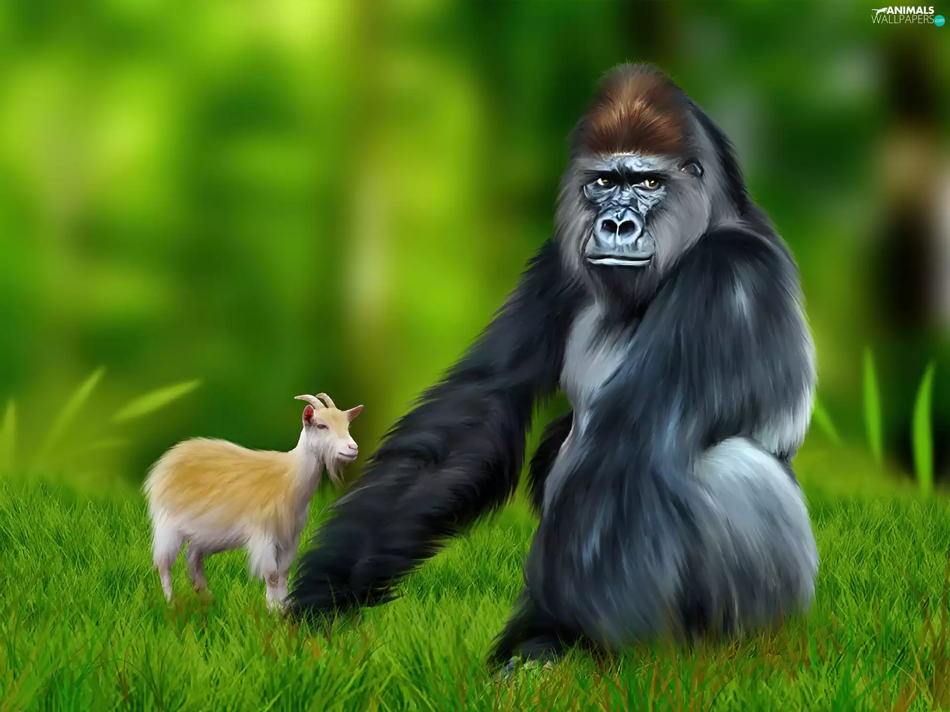 Meadow, gorilla, Goat