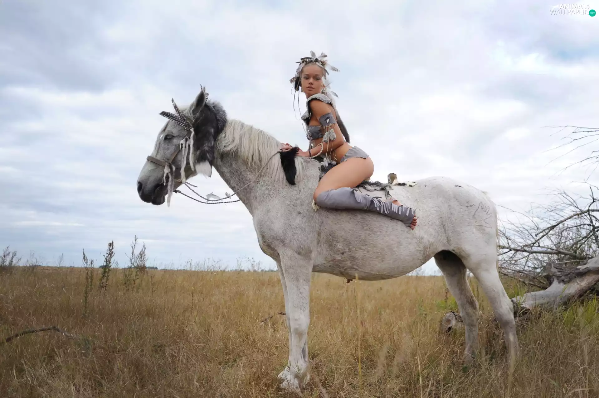 girl, gray, Indians, Meadow, costume, Horse