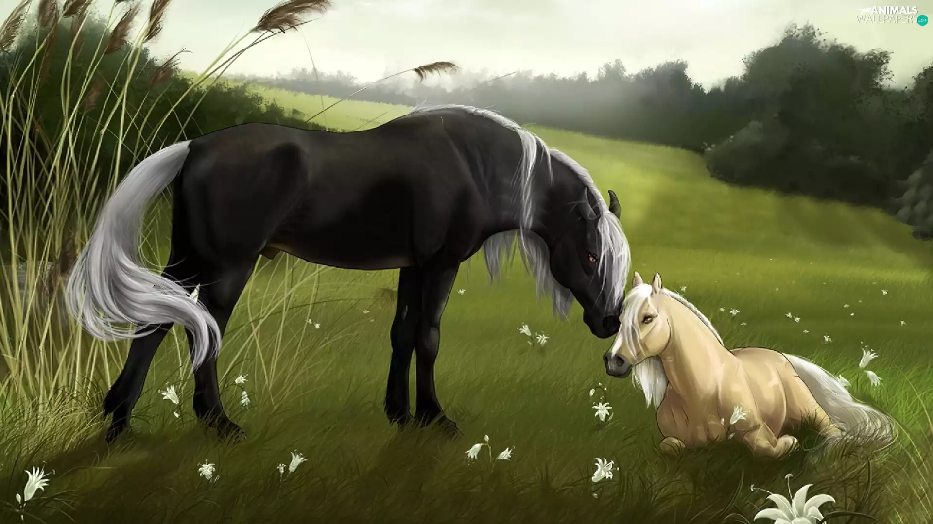 love, Meadow, mother, Colt, bloodstock