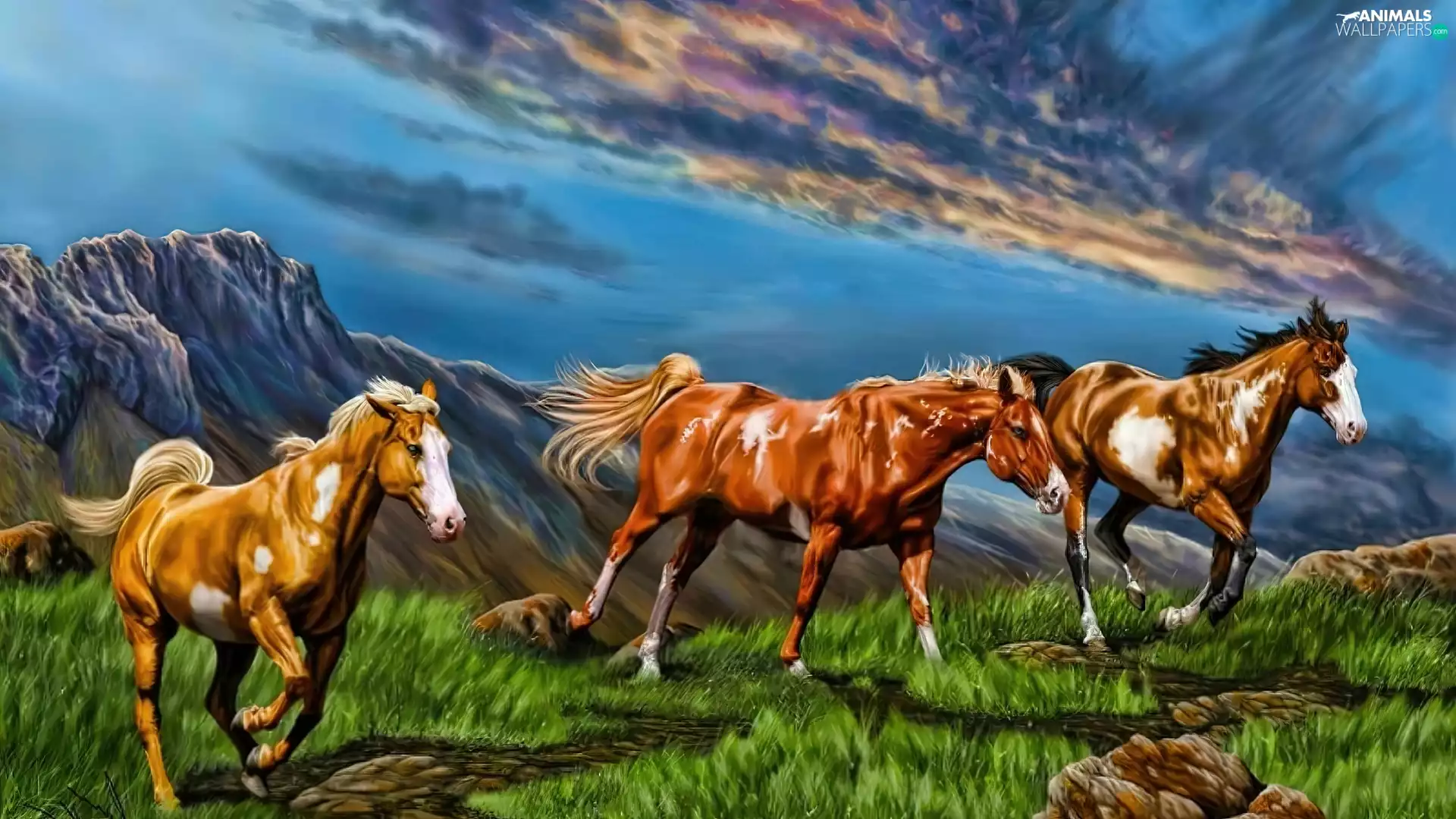 Meadow, bloodstock, Mountains