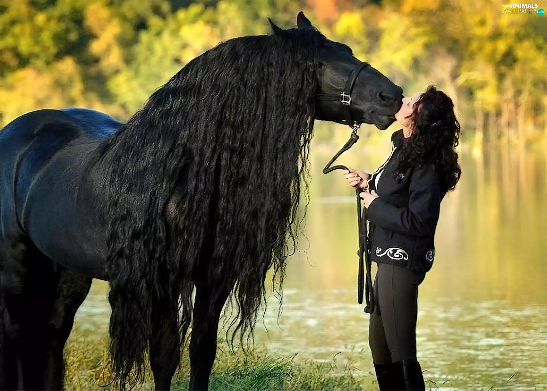 Horse, Women, forest, Meadow, River, Penalties