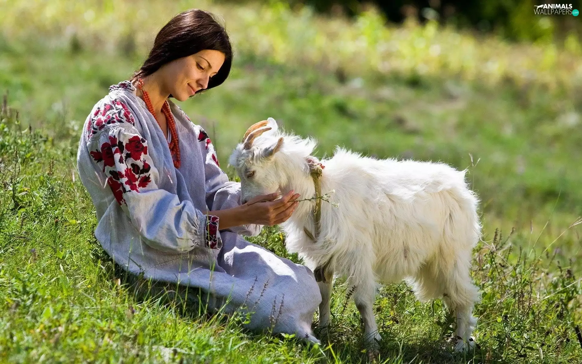 Women, small, Goat, Meadow