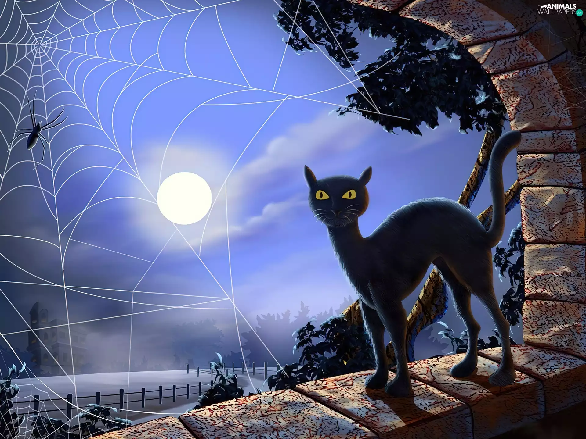 moon, cat, Night