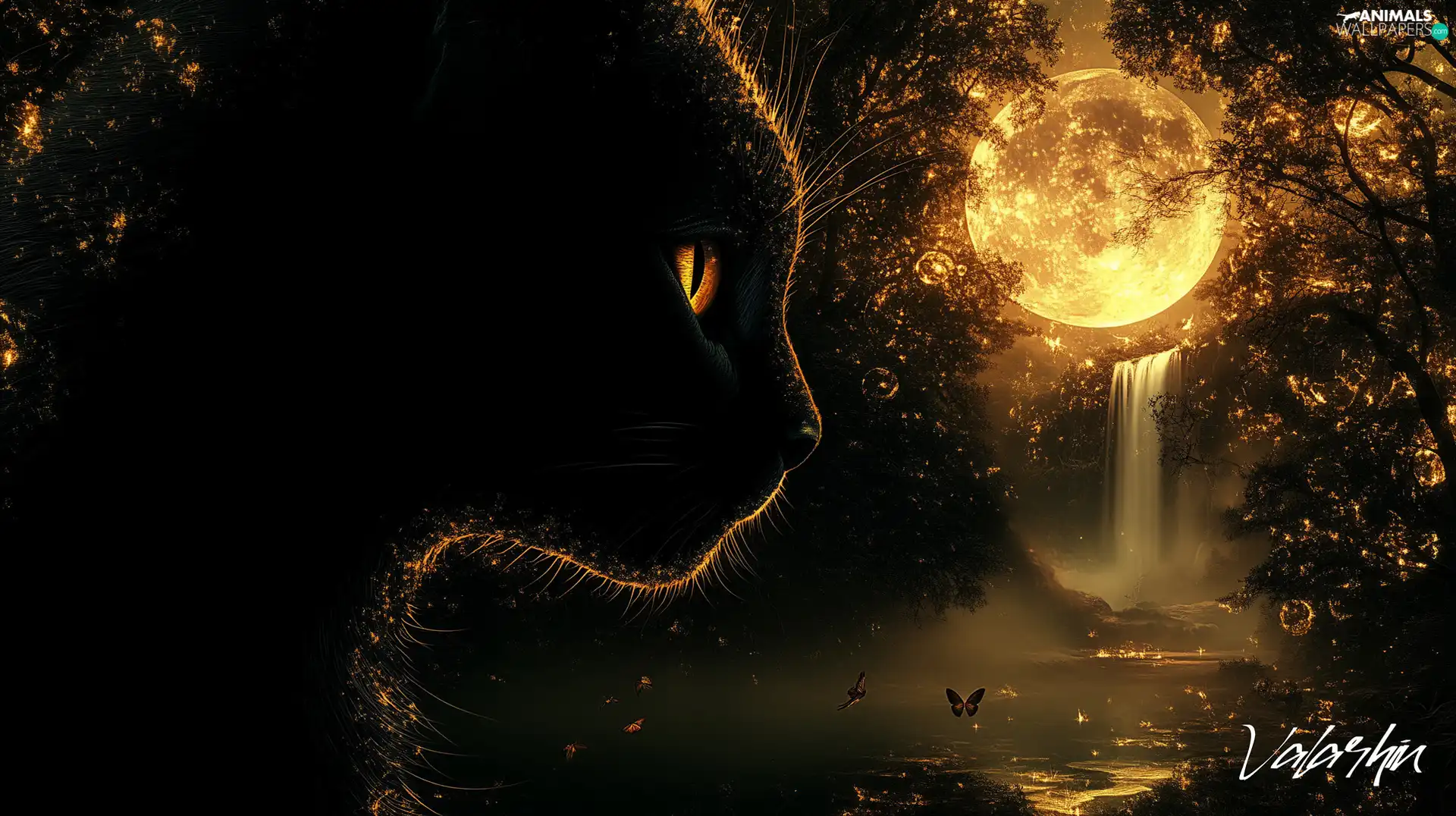 Black, graphics, Head, moon, cat, Night