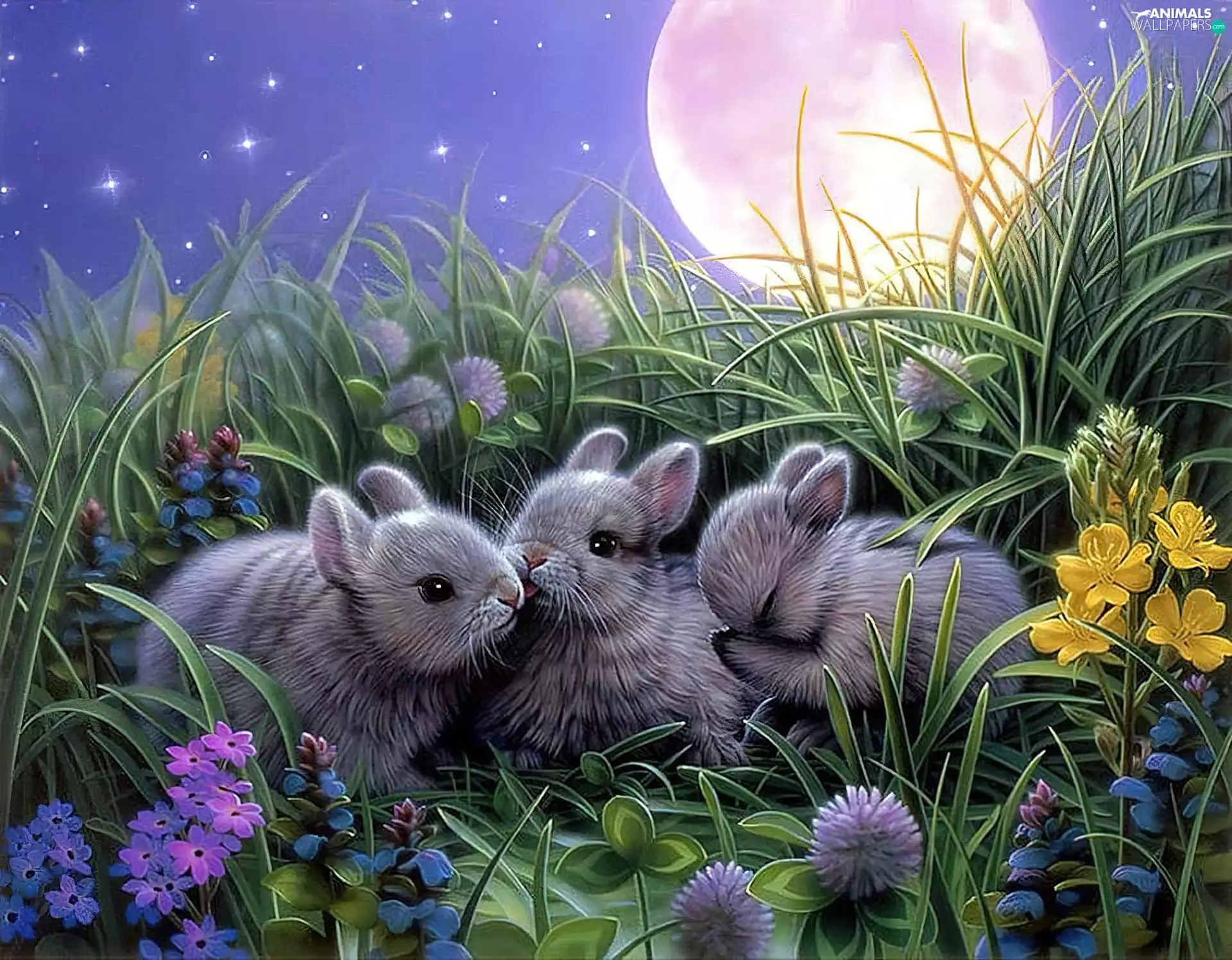 Meadow, Three, Night, moon, Flowers, Rabbits
