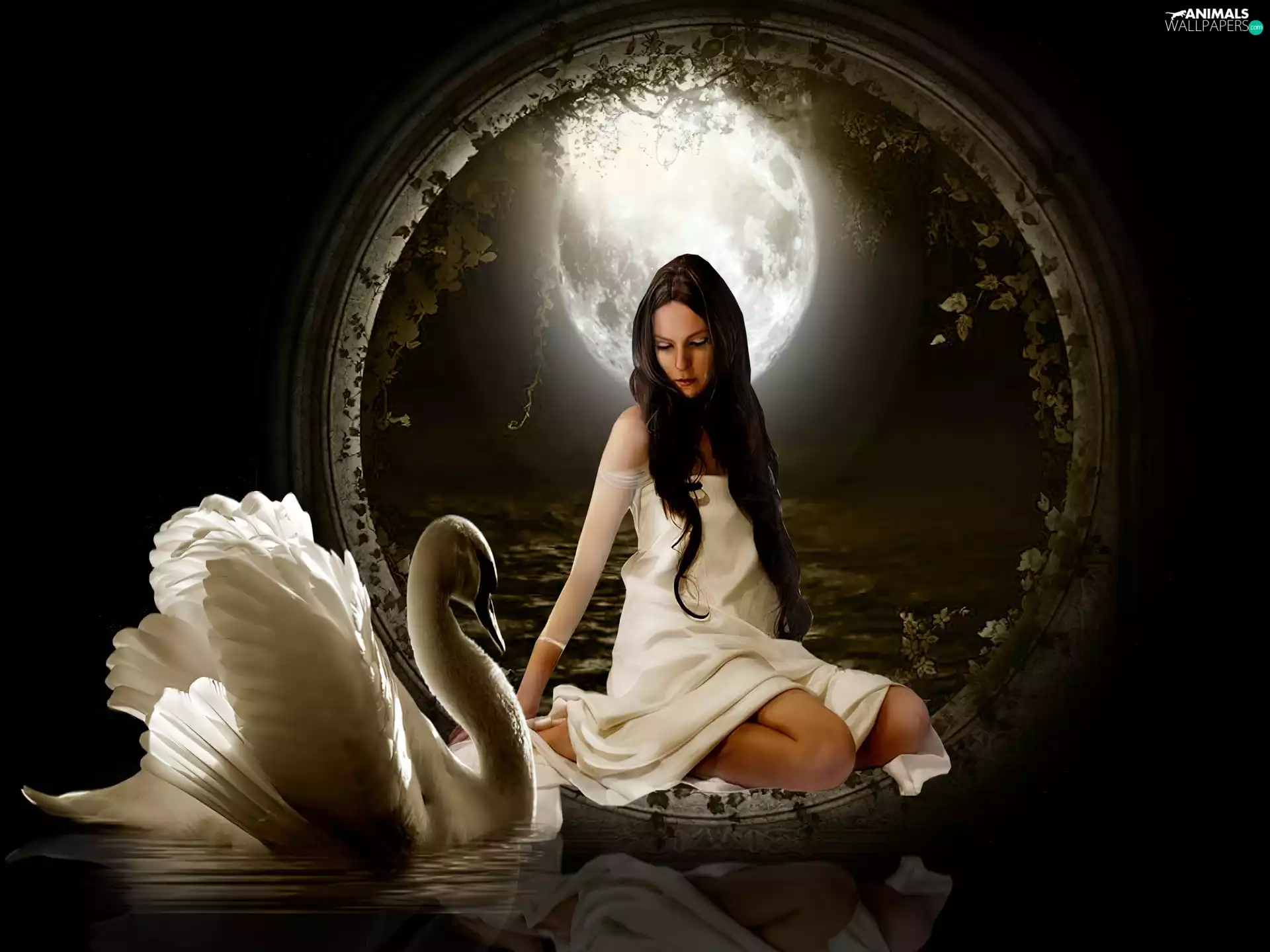 moon, Women, Swans