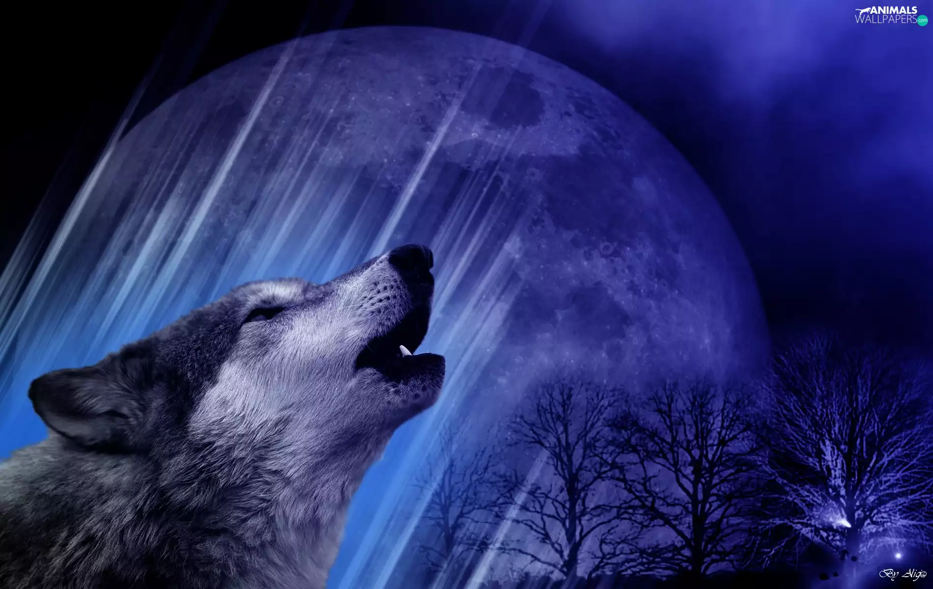 Wolf, trees, viewes, moon