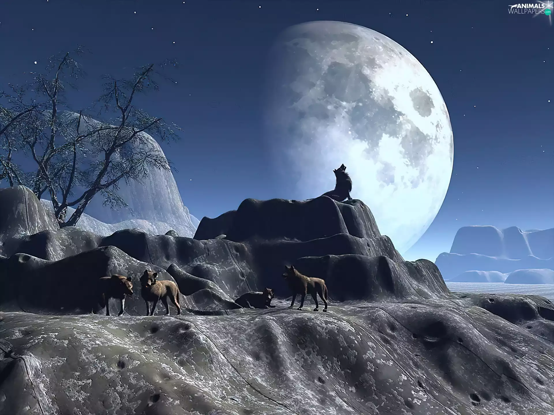 moon, herd, wolves