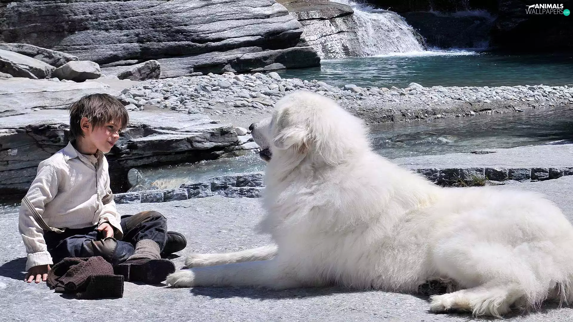 Félix Bossuet, Belle and Sebastian, River, Kid, movie, Pyrenean Mountain Dog, Stones