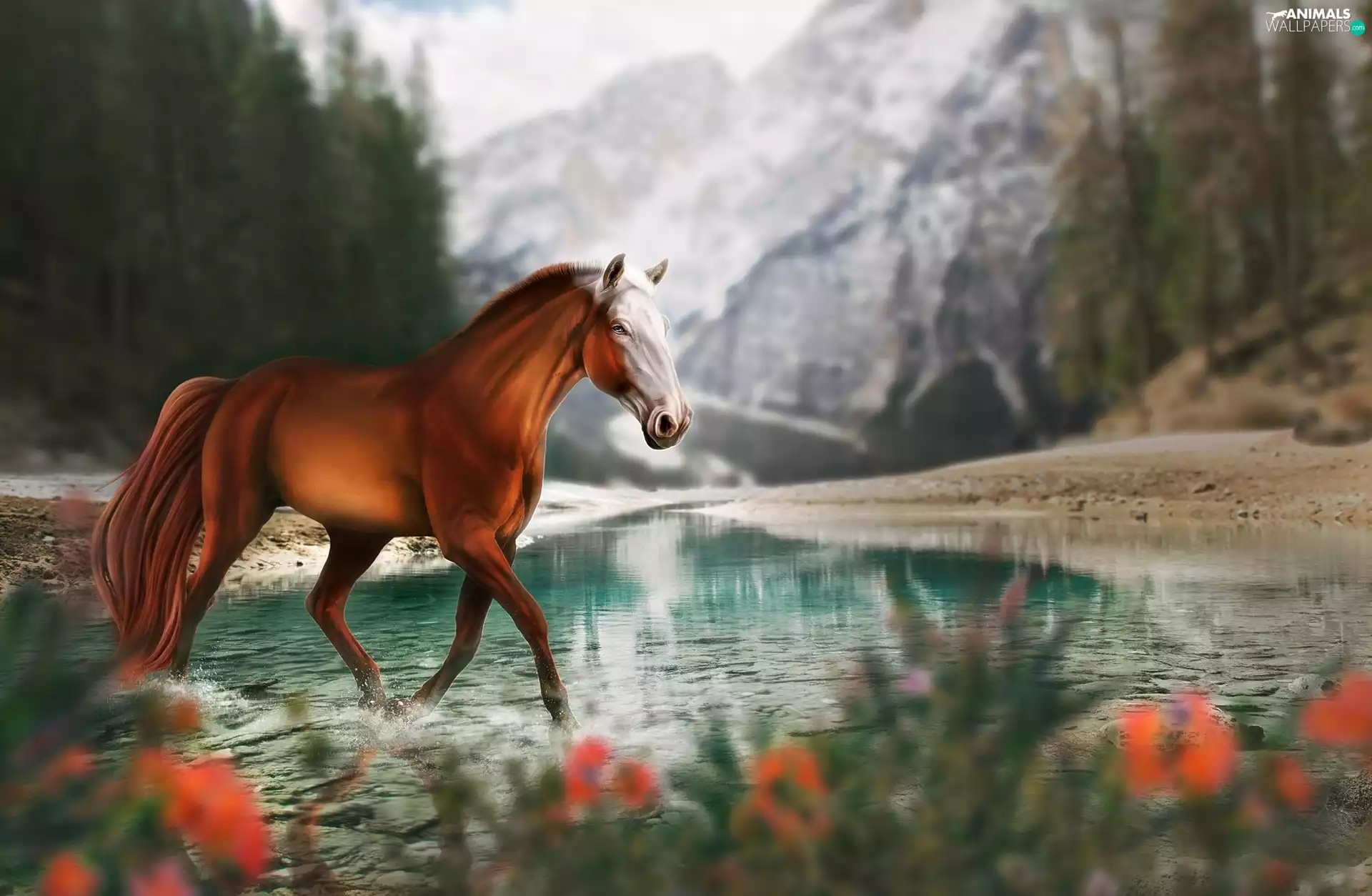 Horse, Mountains, 2D Graphics, River