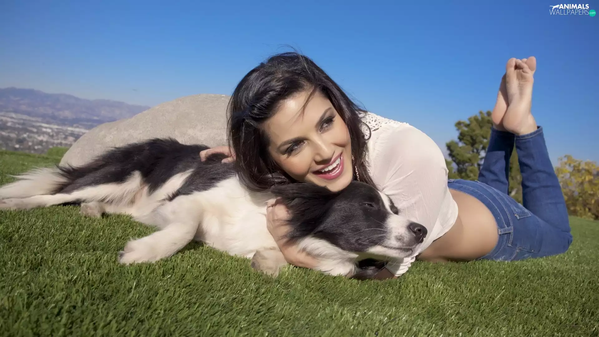 dog, Mountains, girl, Meadow, happy