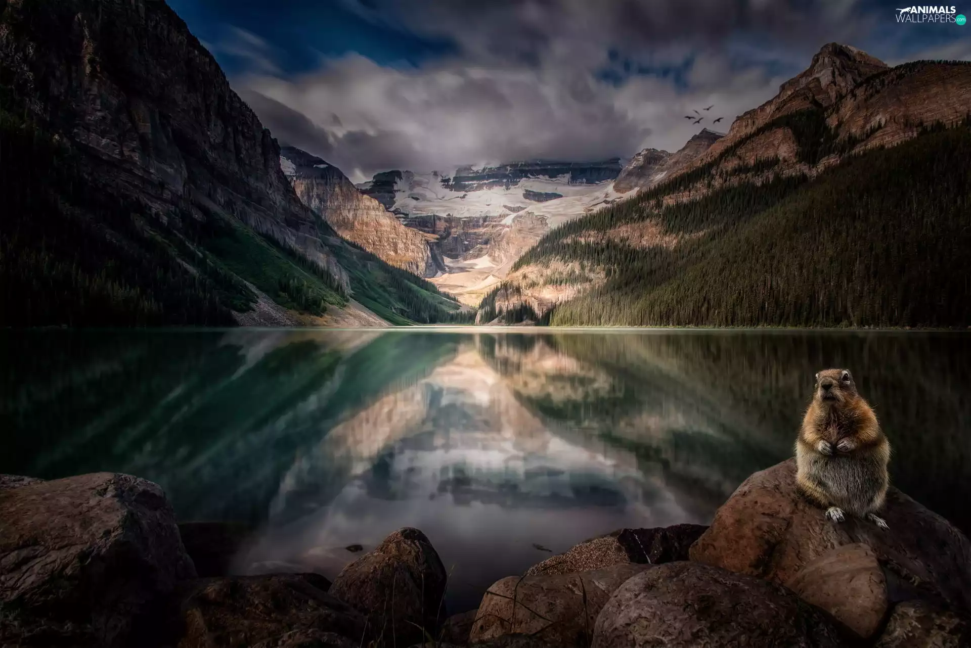 Mountains, whistler, lake