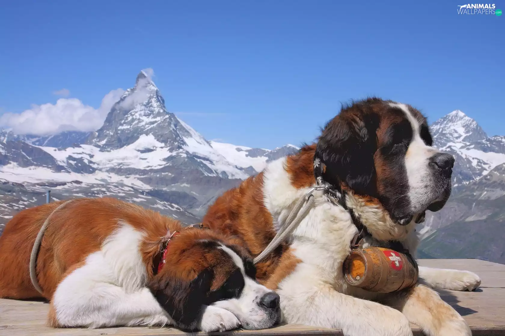 Mountains, Bernards, peaks