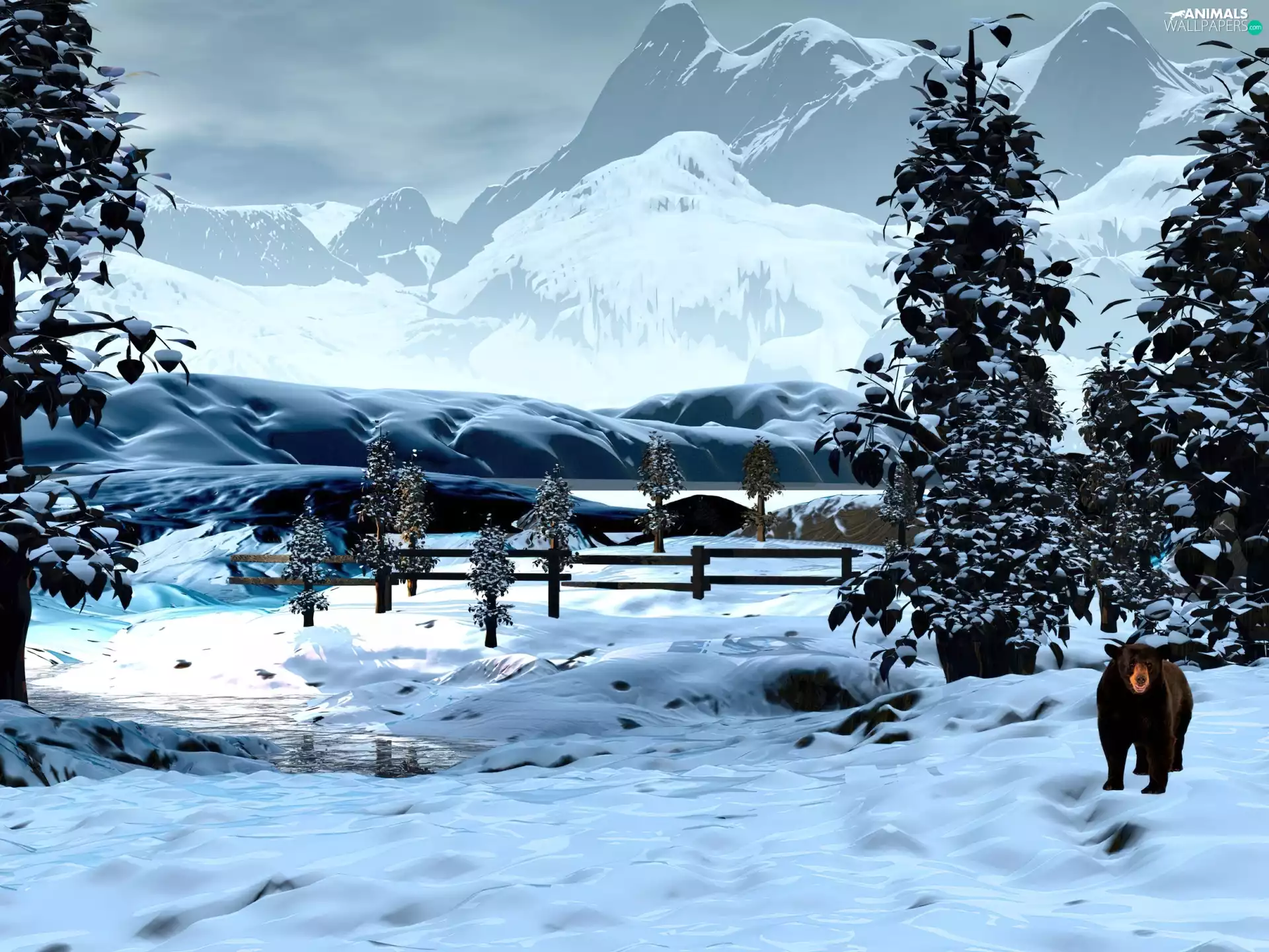 winter, Bear, graphics, Mountains