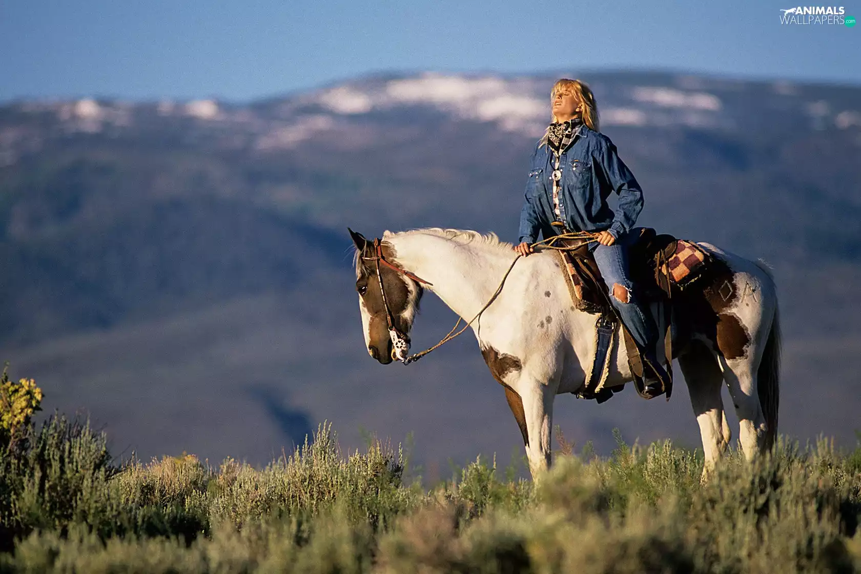 Mountains, Horse, Women