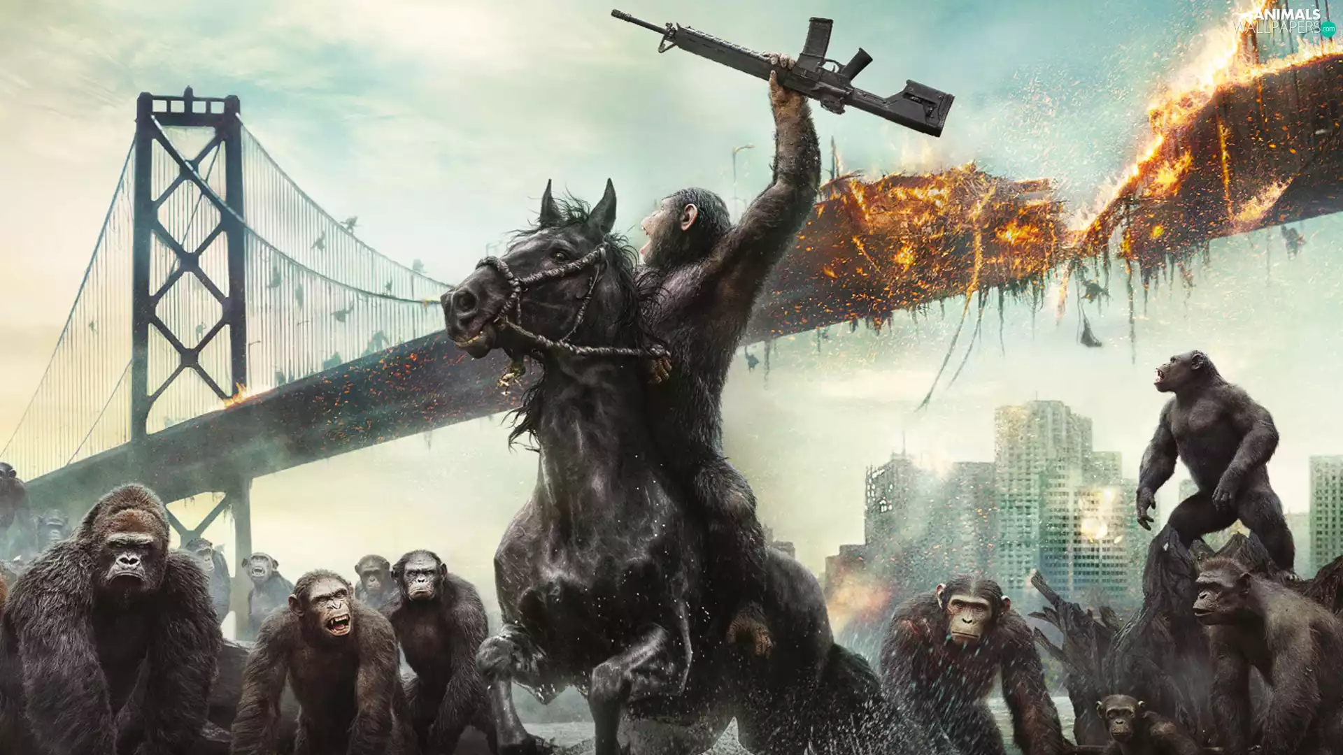 war, Dawn of the Planet of the Apes, bridge, Dawn of the Planet of the Apes, movie, damaged, monkey