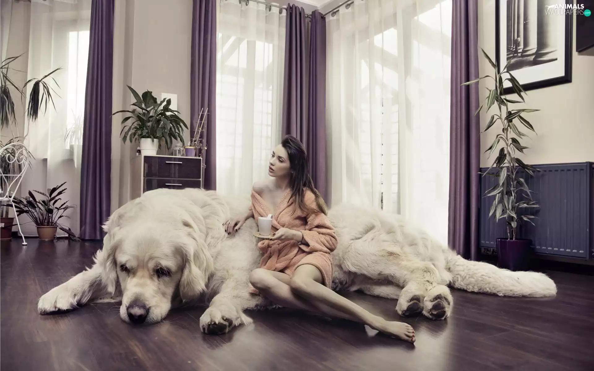 ##, Bathrobe, saloon, DBZ, Plants, Women, dog, Mug