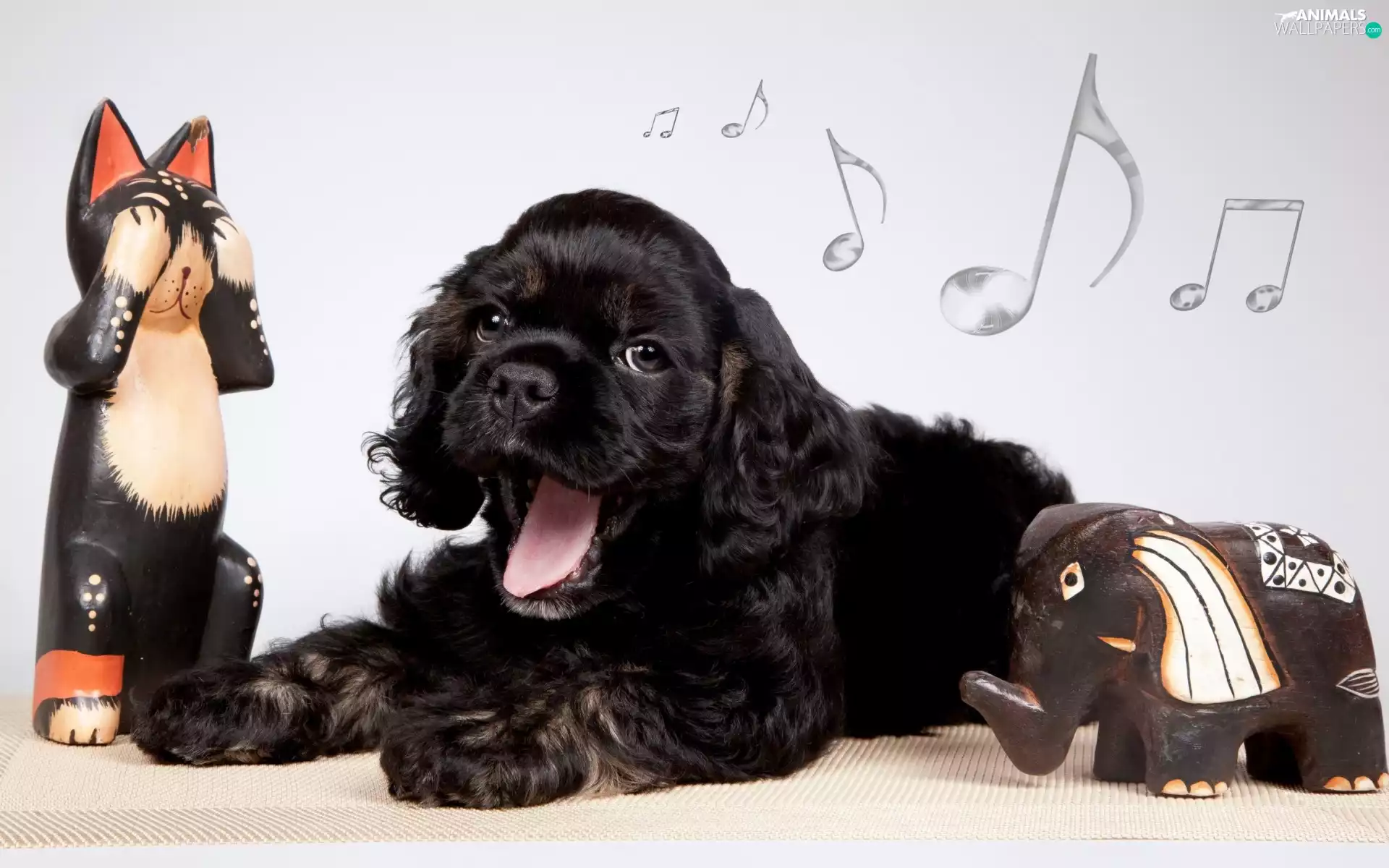 dog, Cocker Spaniel, musical notes, Puppy