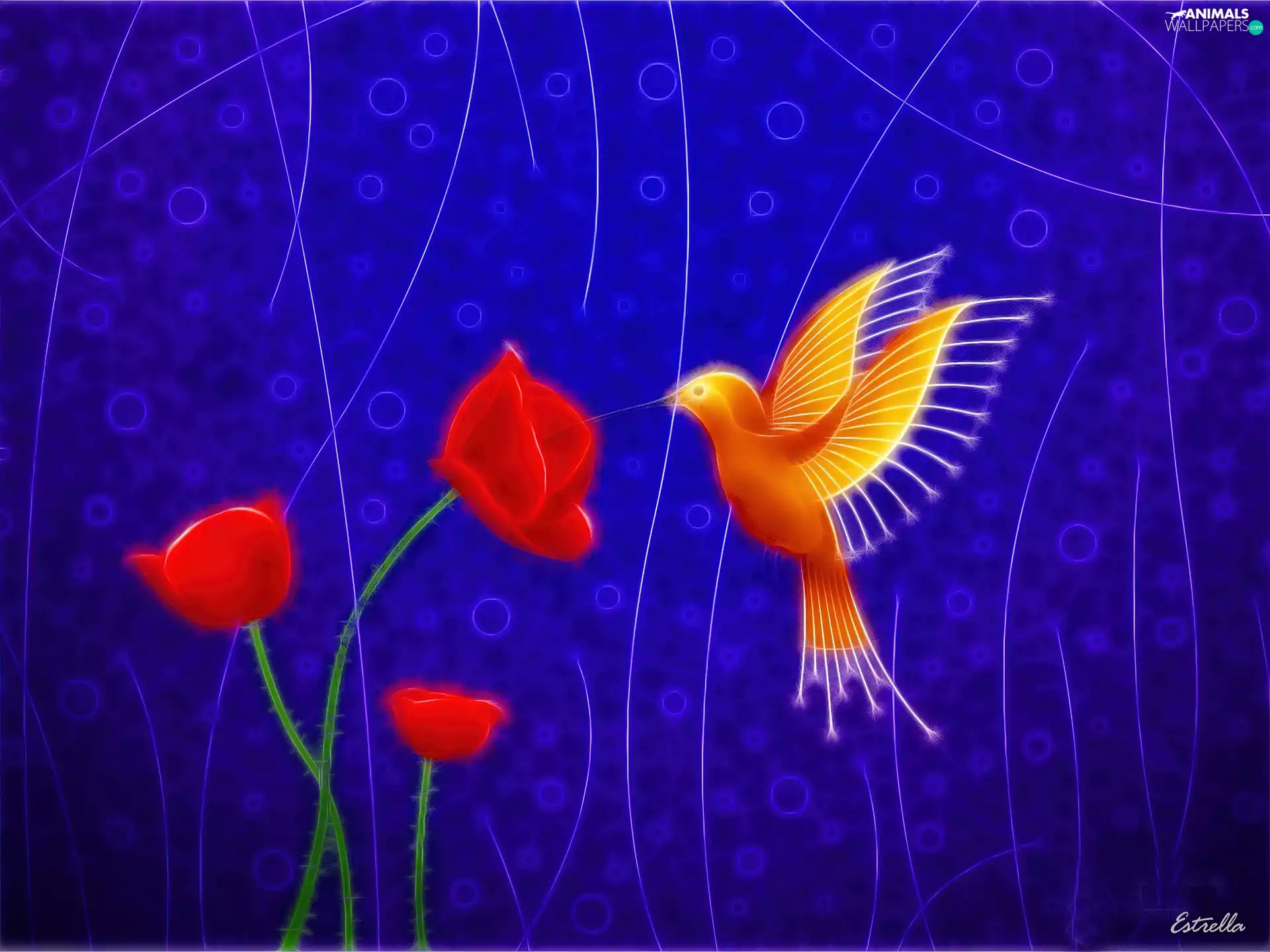background, 3D, Flowers, navy blue, Bird
