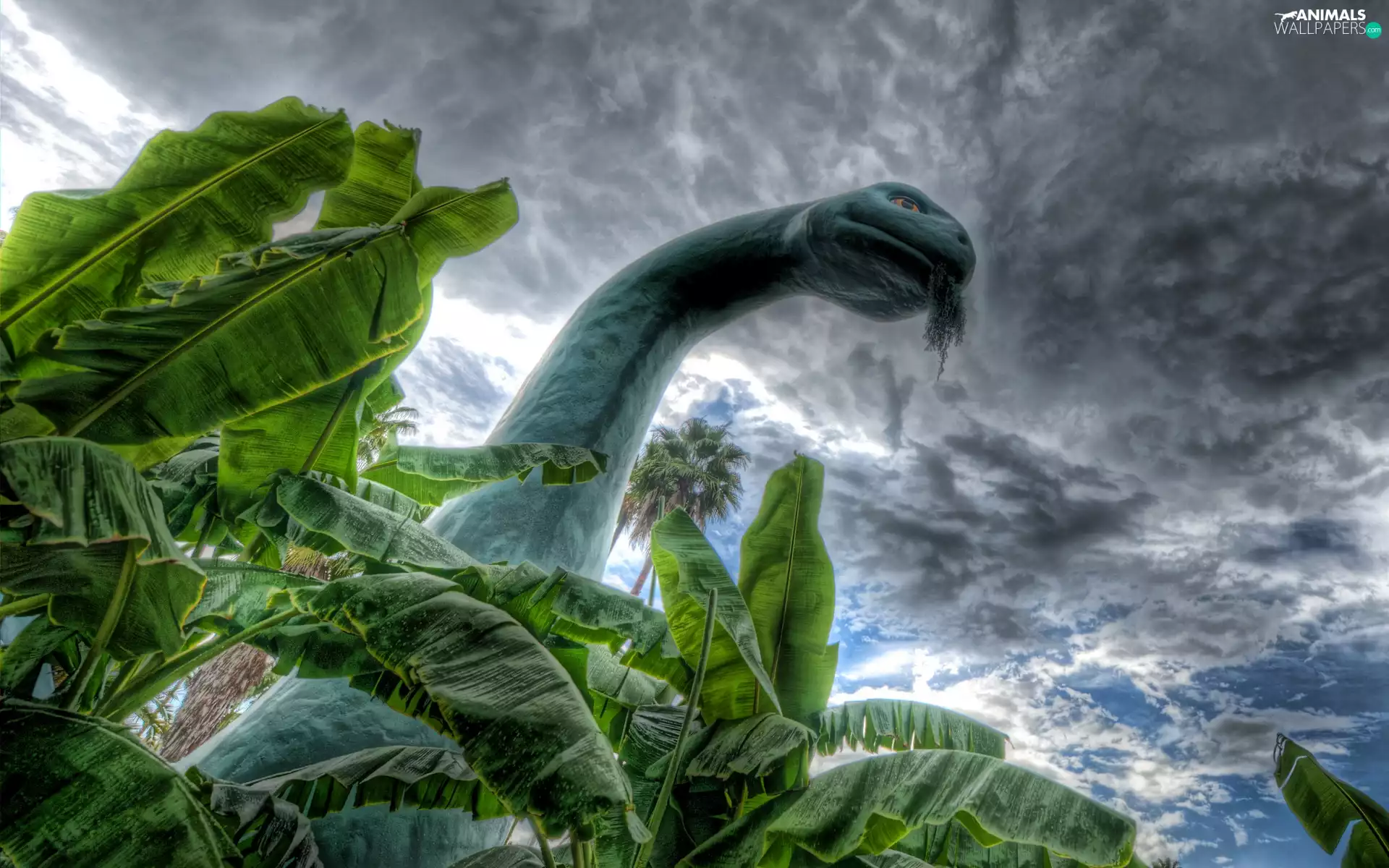 neck, dinosaur, long