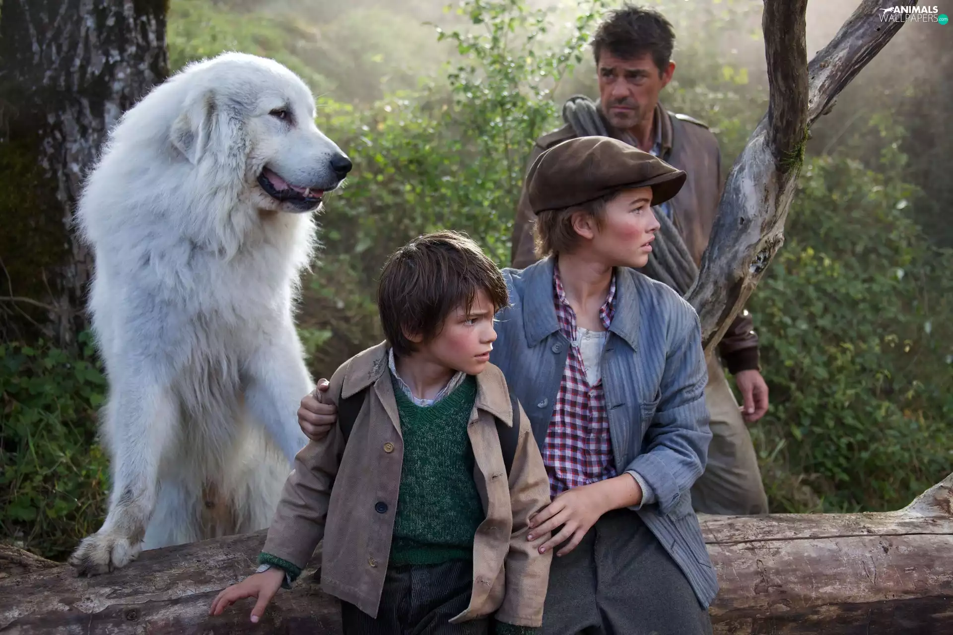 Félix Bossuet, Bella and Sebastian 2, Thierry Neuvic, Kids, movie, Margaux Châtelier, Pyrenean Mountain Dog