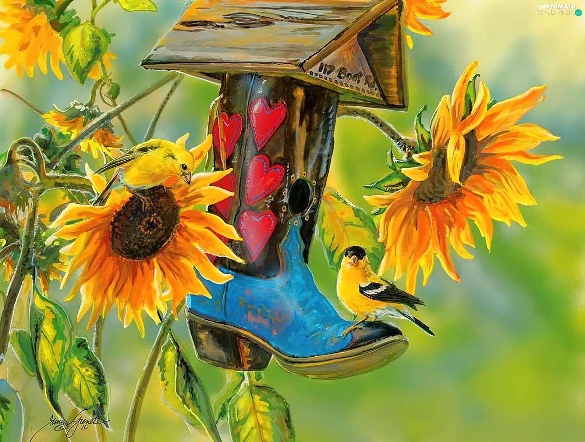 Bird, Nice sunflowers, Bird, ##