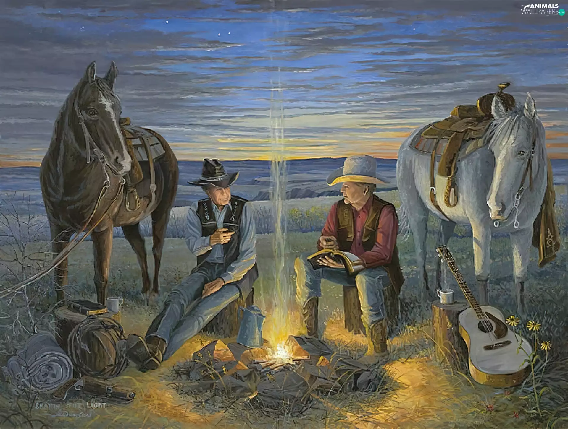 Guitar, Night, bloodstock, fire, Cowboys