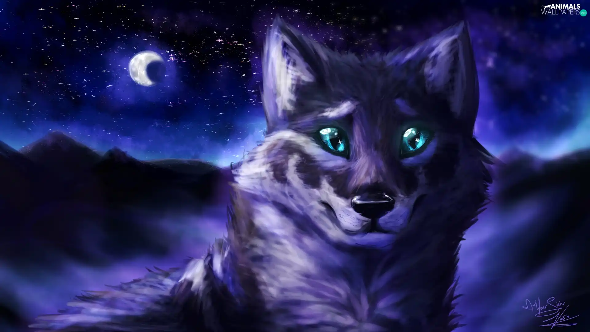 Digital Art, Wolf, Night