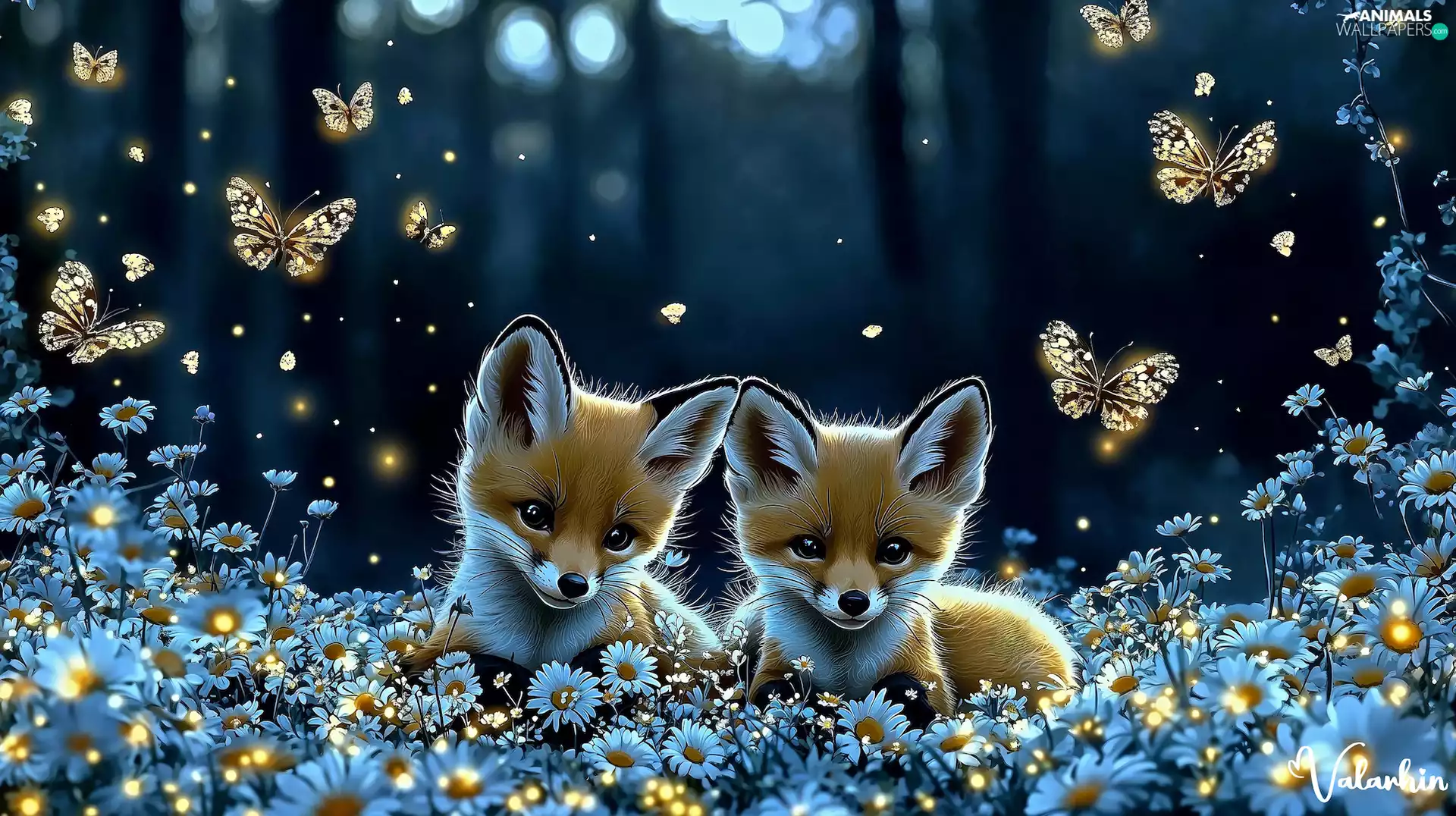 foxes, fox, Flowers, Two cars, graphics, butterflies, Night