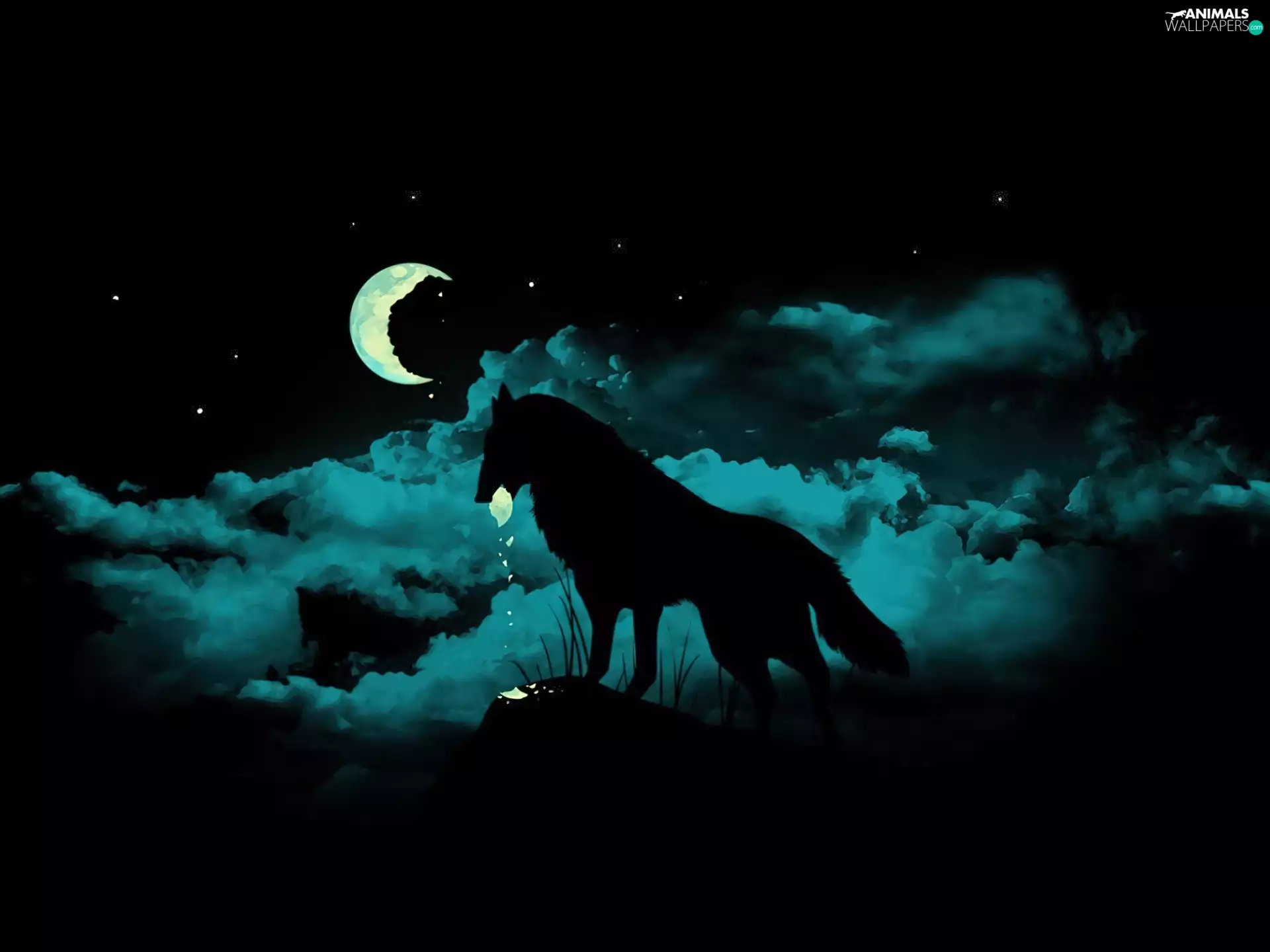 Night, Wolf, moon
