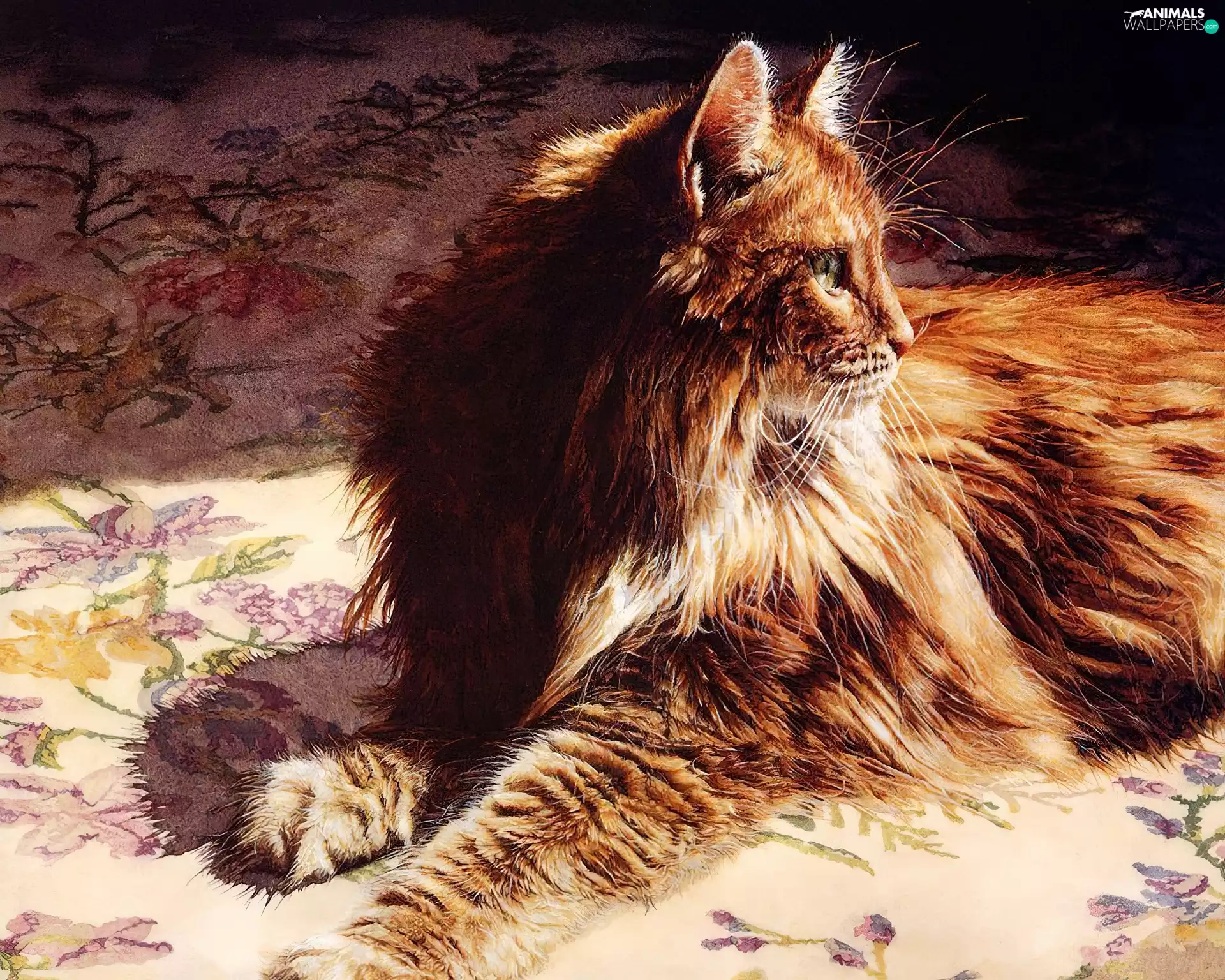 cat, forest, Drawing, Norwegian