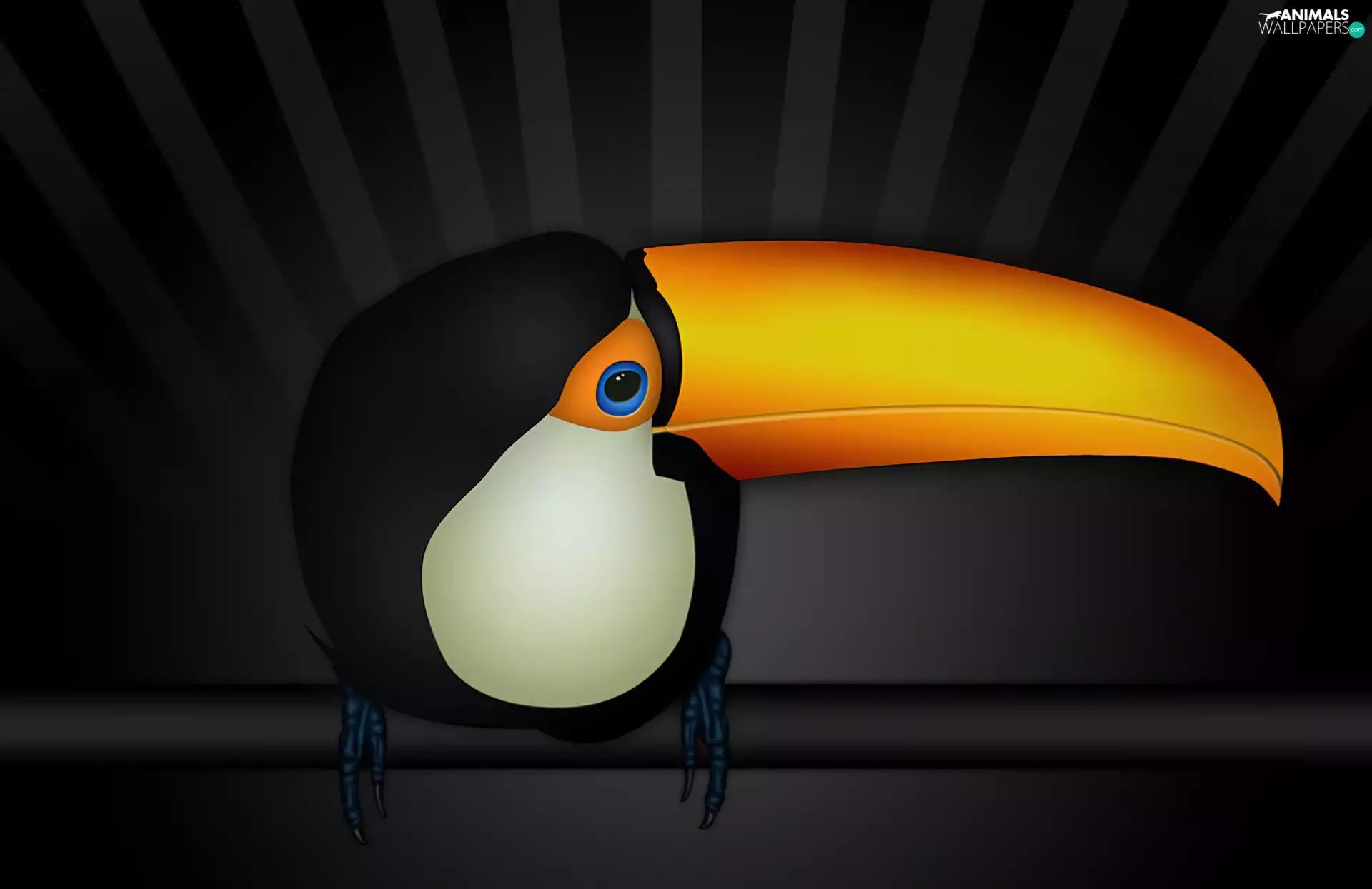 Toucan, nose, 3D Graphics, Yellow