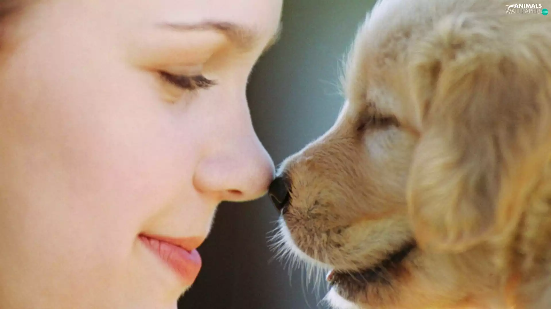 ##, nose, Women, nose, dog