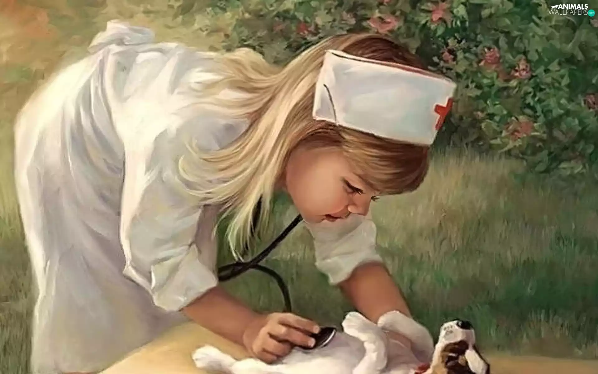 stethoscope, nurse, dog, Puppy, girl